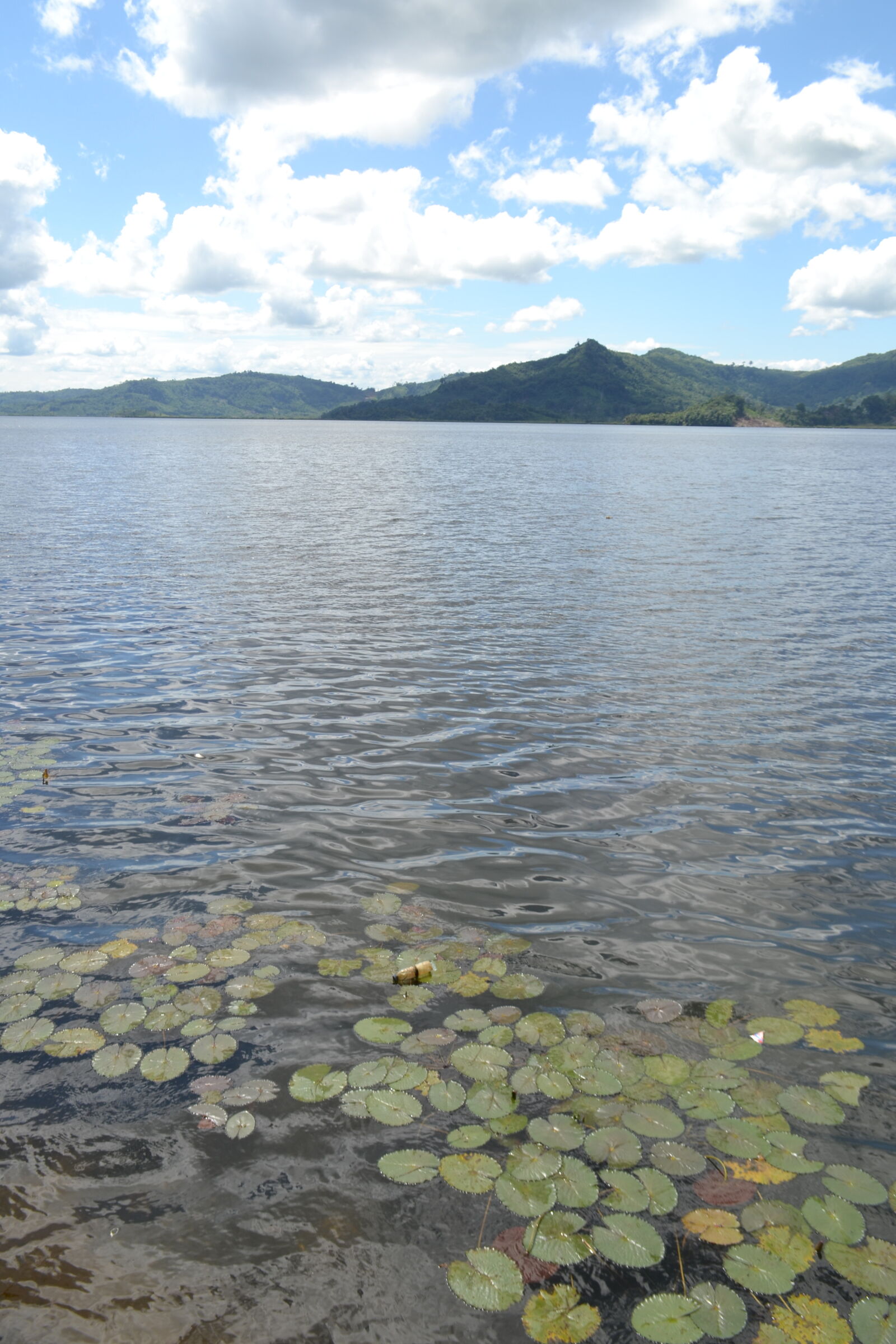 Nikon D3100 sample photo