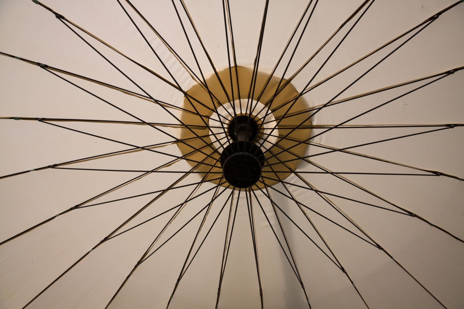 Canon EF-S 17-85mm F4-5.6 IS USM sample photo. Parasol, screen, sun photography