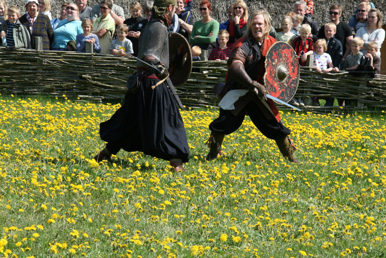 Sigma 18-200mm f/3.5-6.3 DC OS sample photo. Vikings photography