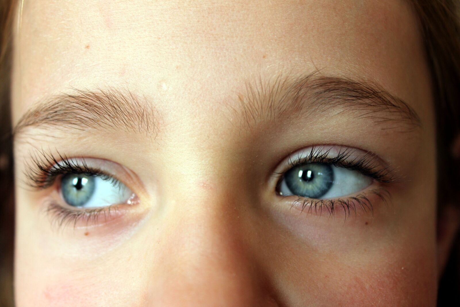 Canon EOS 550D (EOS Rebel T2i / EOS Kiss X4) sample photo. Face, child, eyes photography