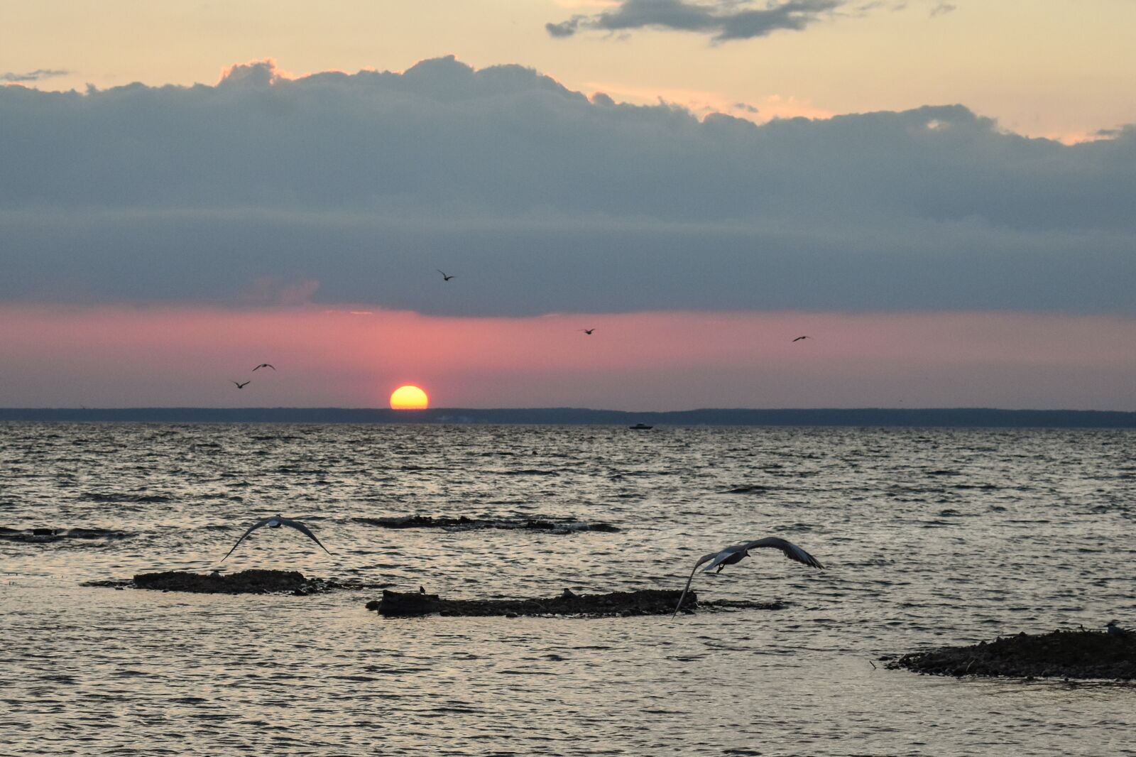Nikon D3400 sample photo. Sunset, lake, nature photography