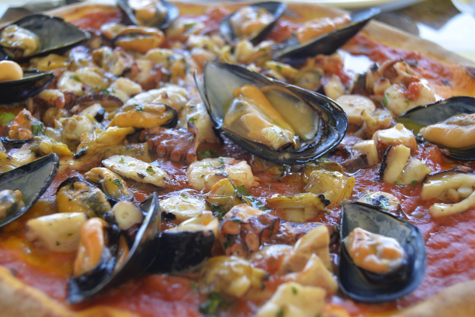 Nikon D610 sample photo. Pizza, food, cheese photography