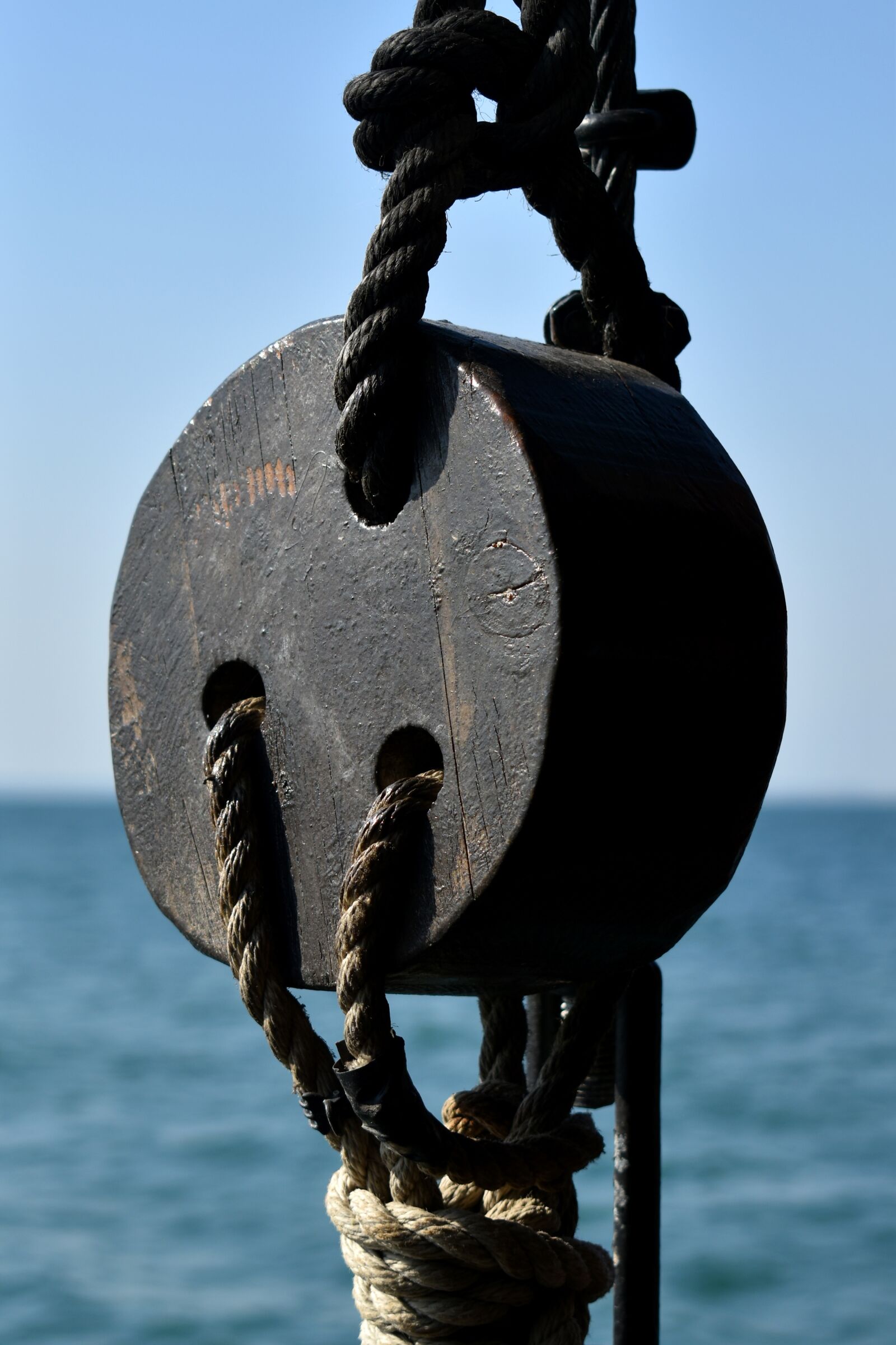 Nikon D3500 sample photo. Rope, wood, knot photography