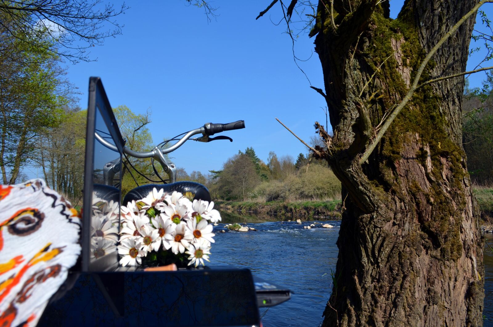 Nikon D5100 sample photo. Home office, nature, river photography