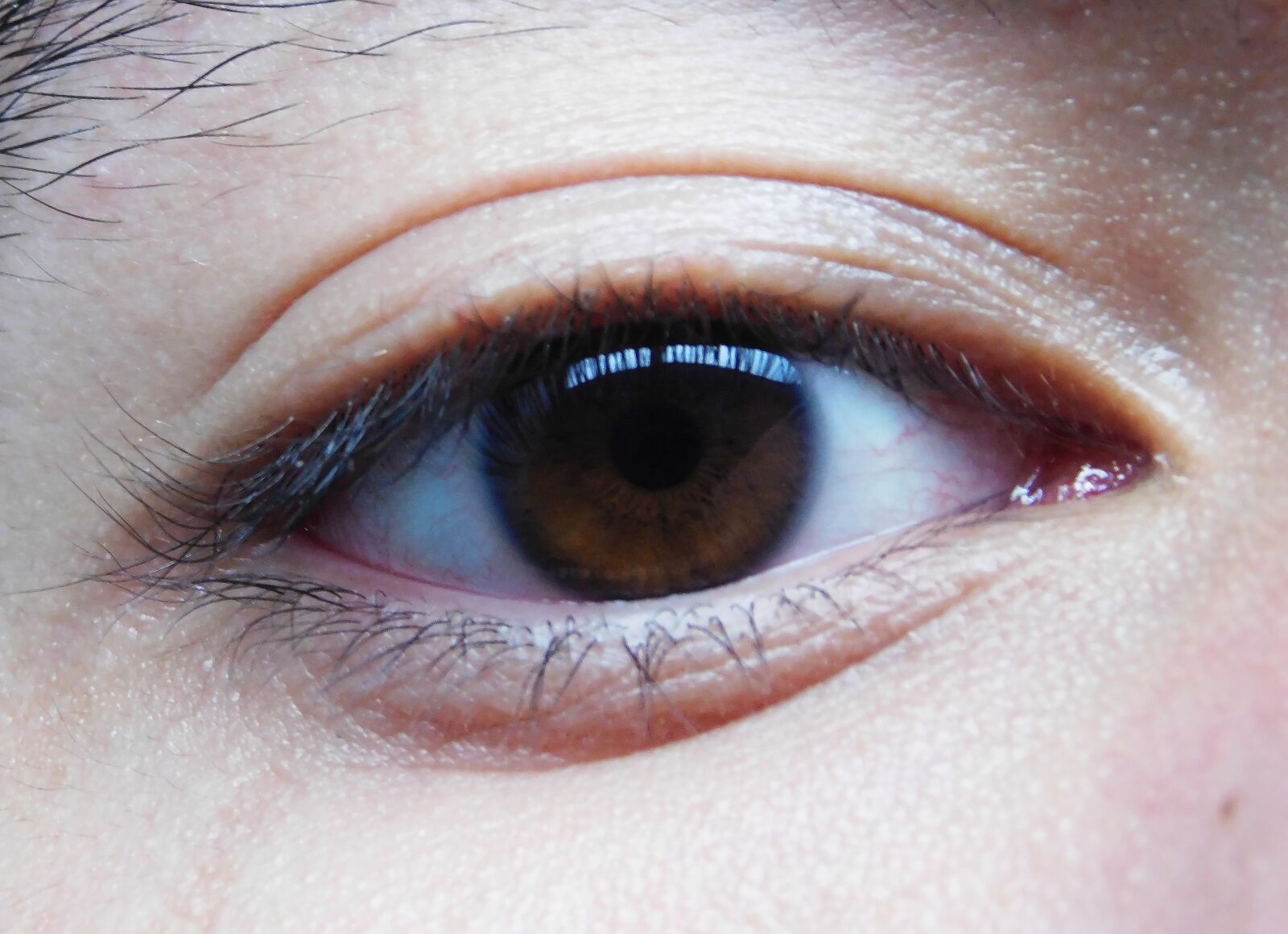Nikon Coolpix L840 sample photo. Eye, face, portrait photography
