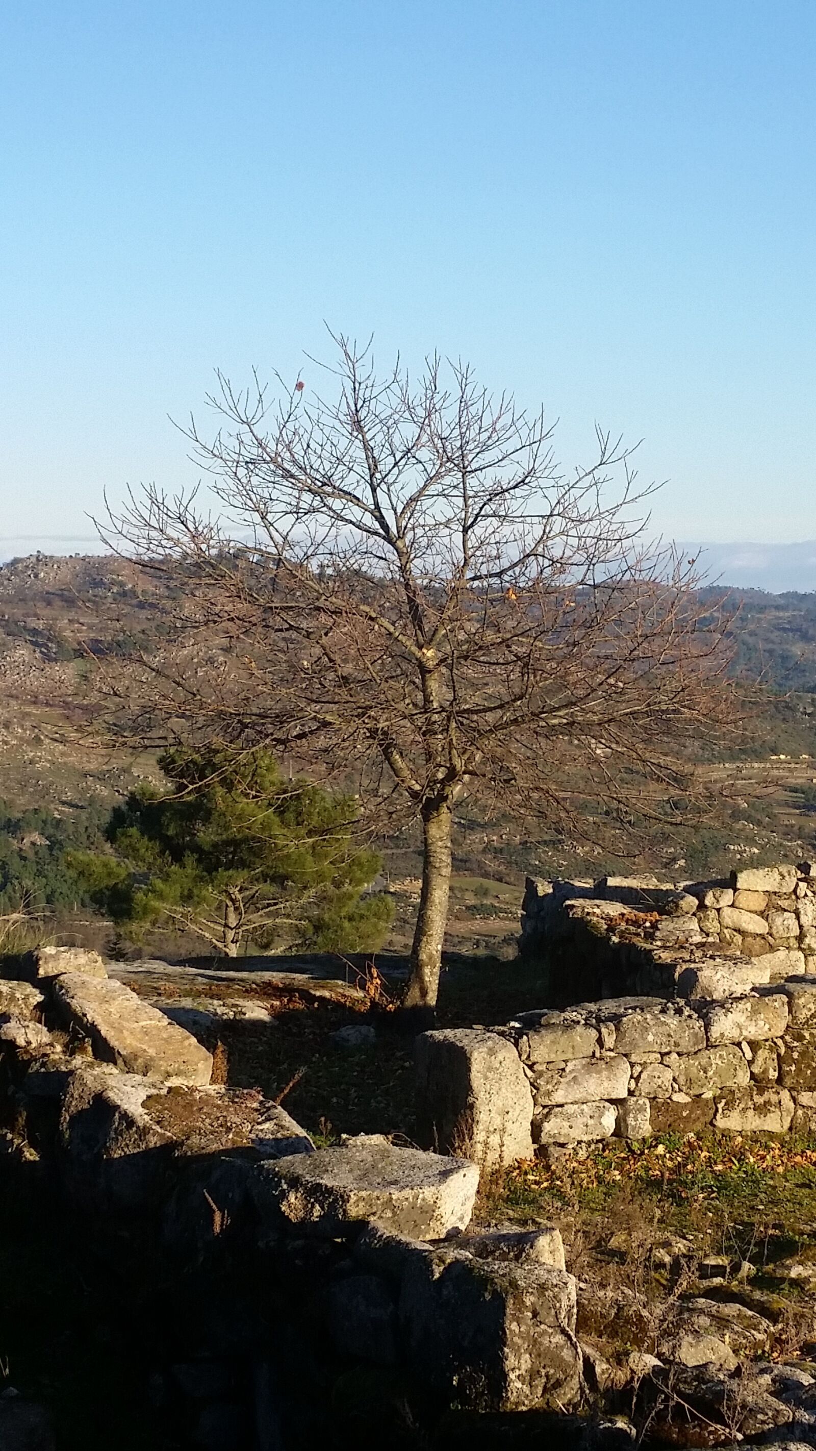 Samsung Galaxy S5 sample photo. Peace, countryside, lost photography