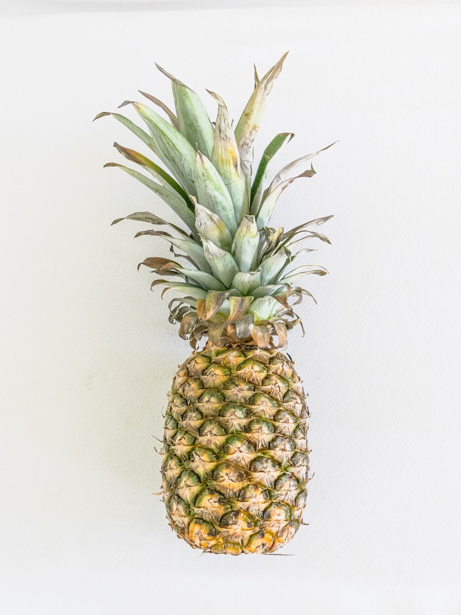Canon EF-S 18-135mm F3.5-5.6 IS USM sample photo. Pineapple, fruit, tropical photography