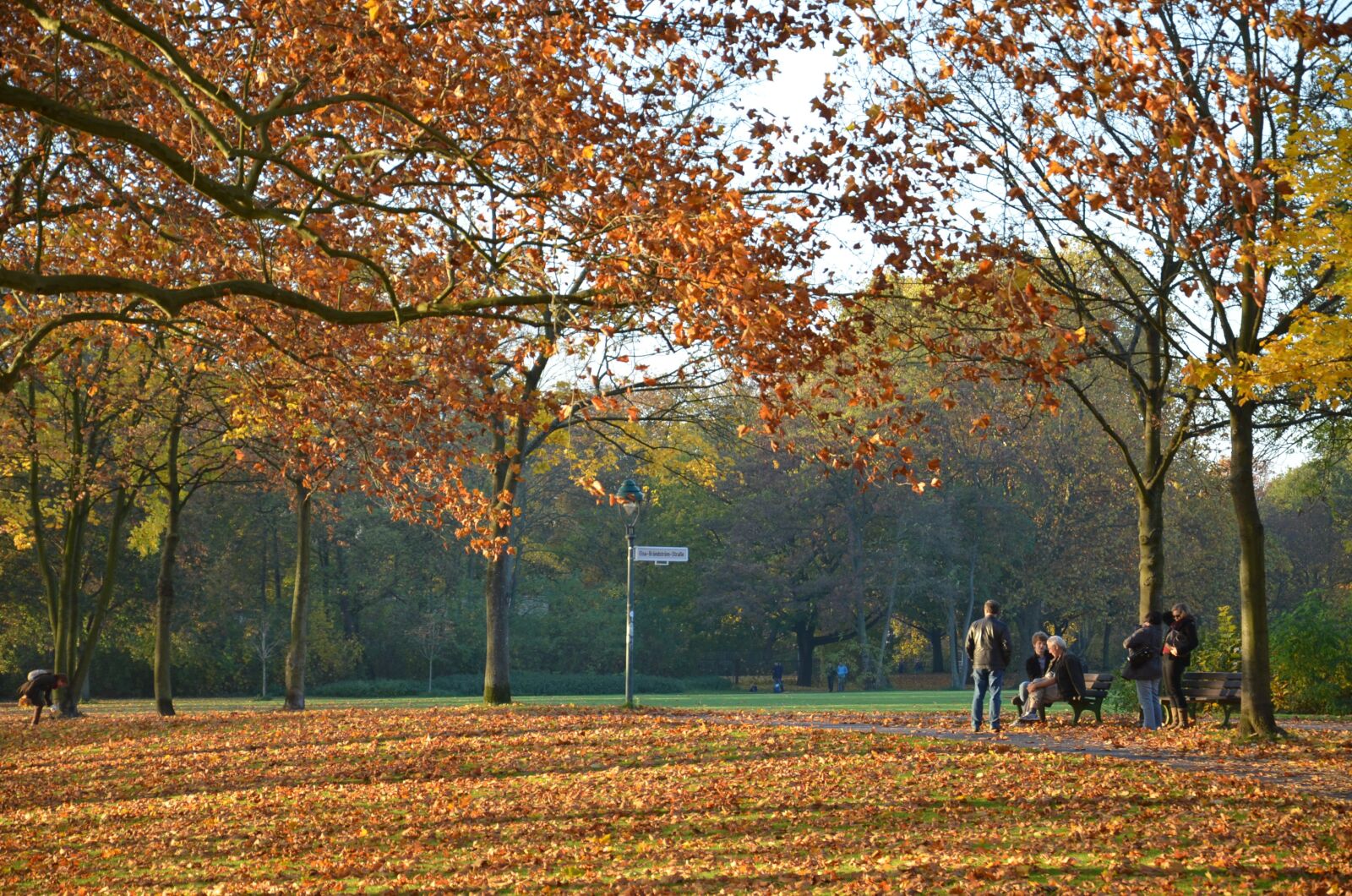 Nikon D5100 sample photo. Herbst, nature, tree photography