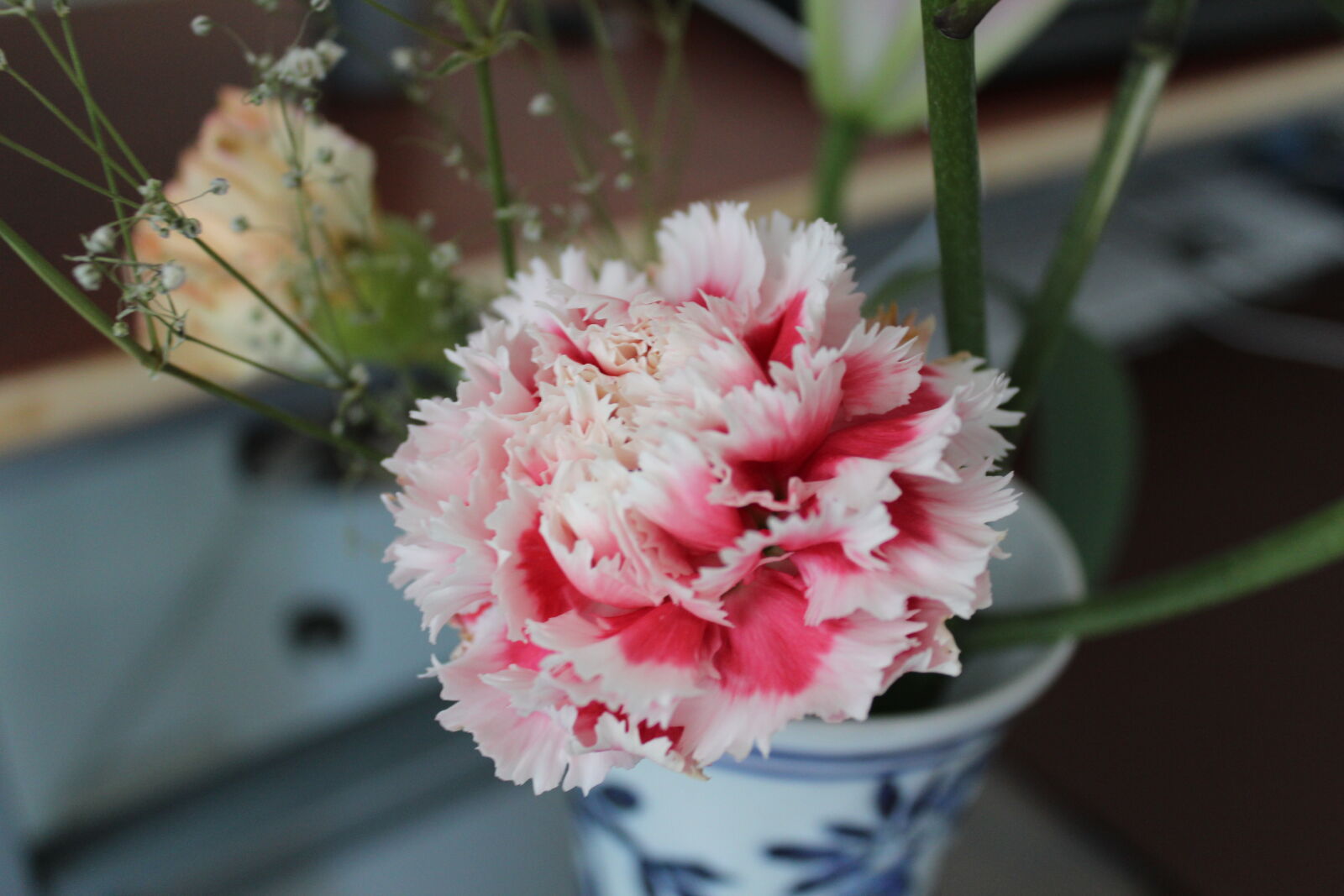 Canon EOS 1200D (EOS Rebel T5 / EOS Kiss X70 / EOS Hi) sample photo. Carnation, desk, flowers, pink photography