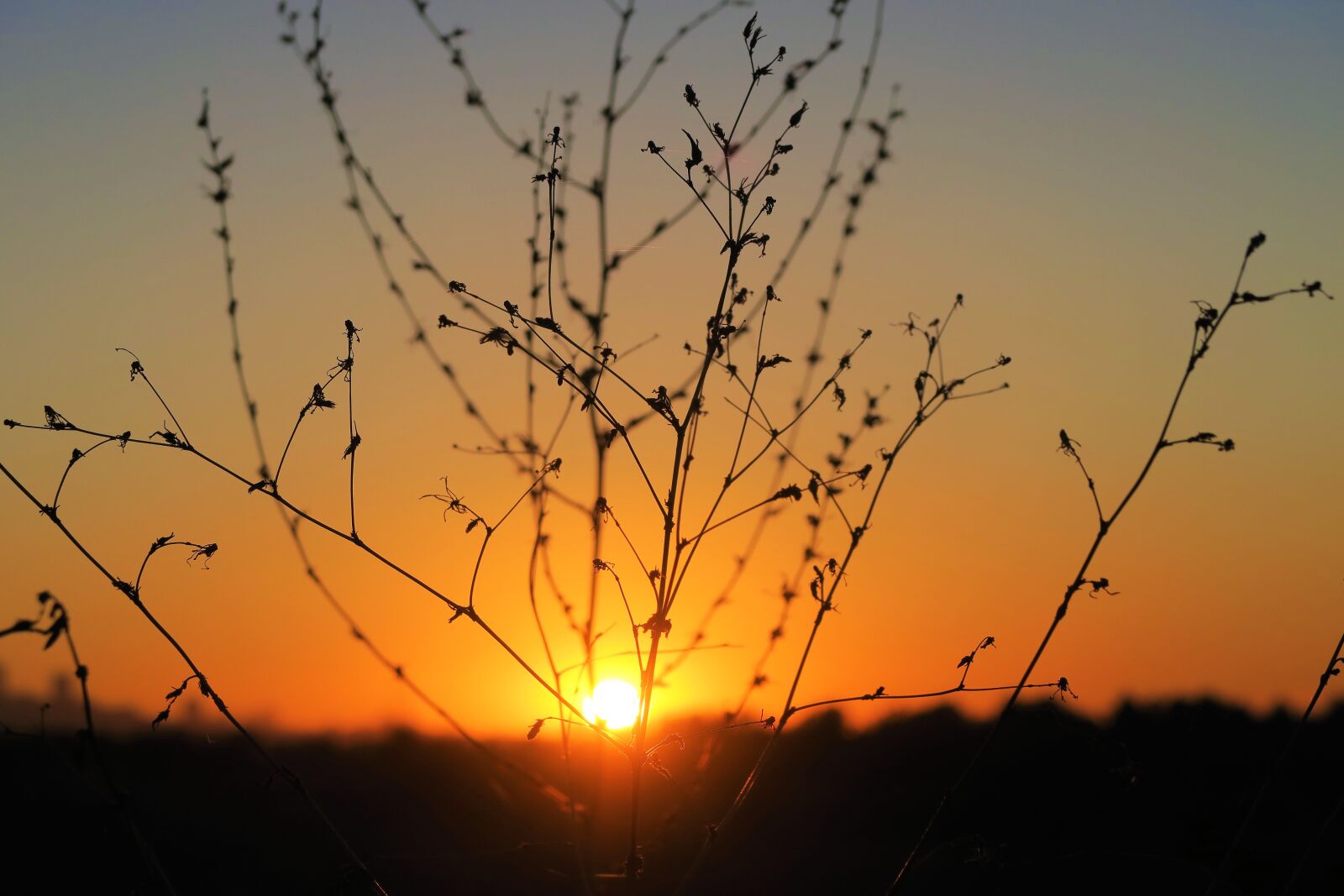 Canon PowerShot G7 X sample photo. Sunset, in the evening photography
