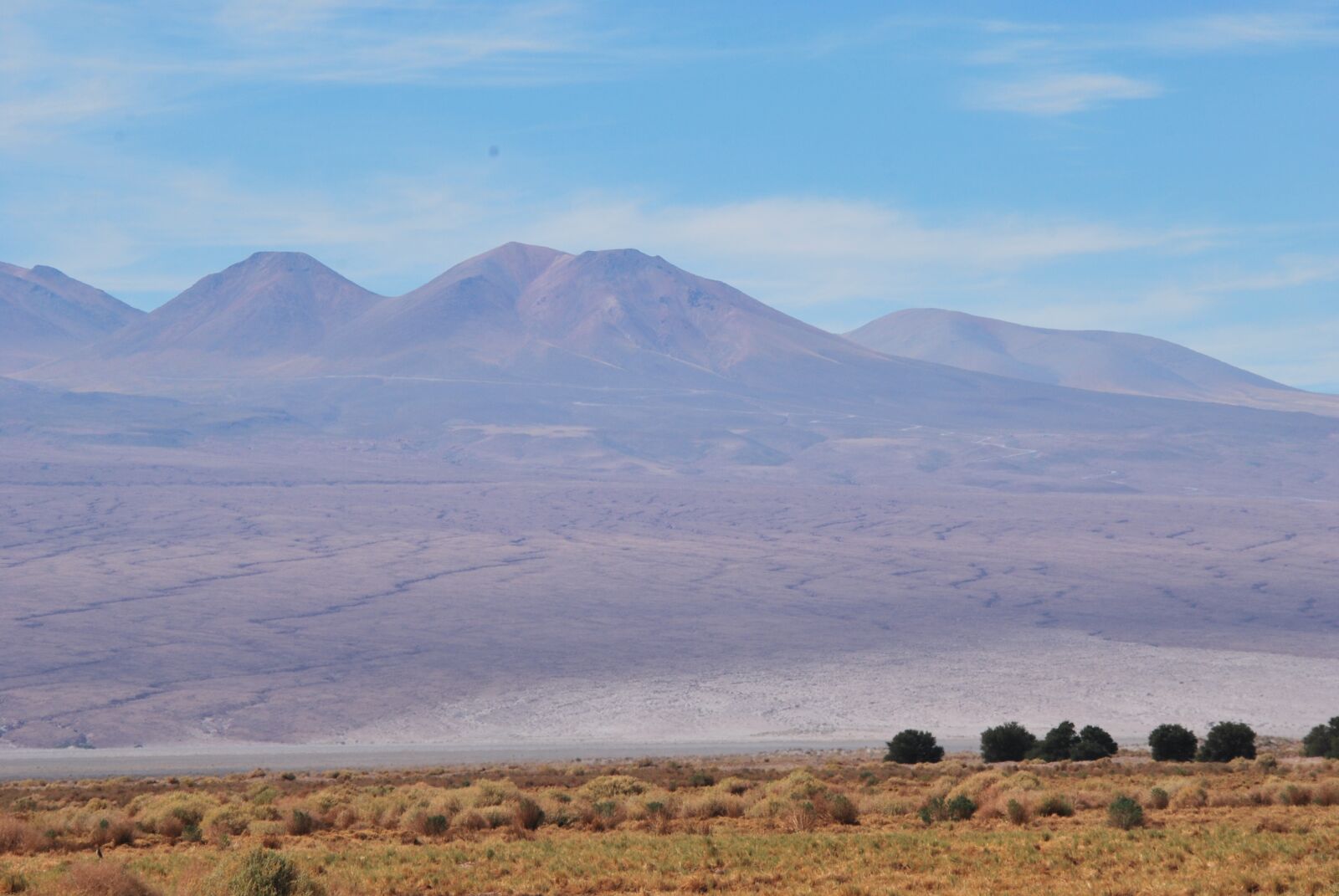Nikon D60 sample photo. Desert, atacama, dry photography