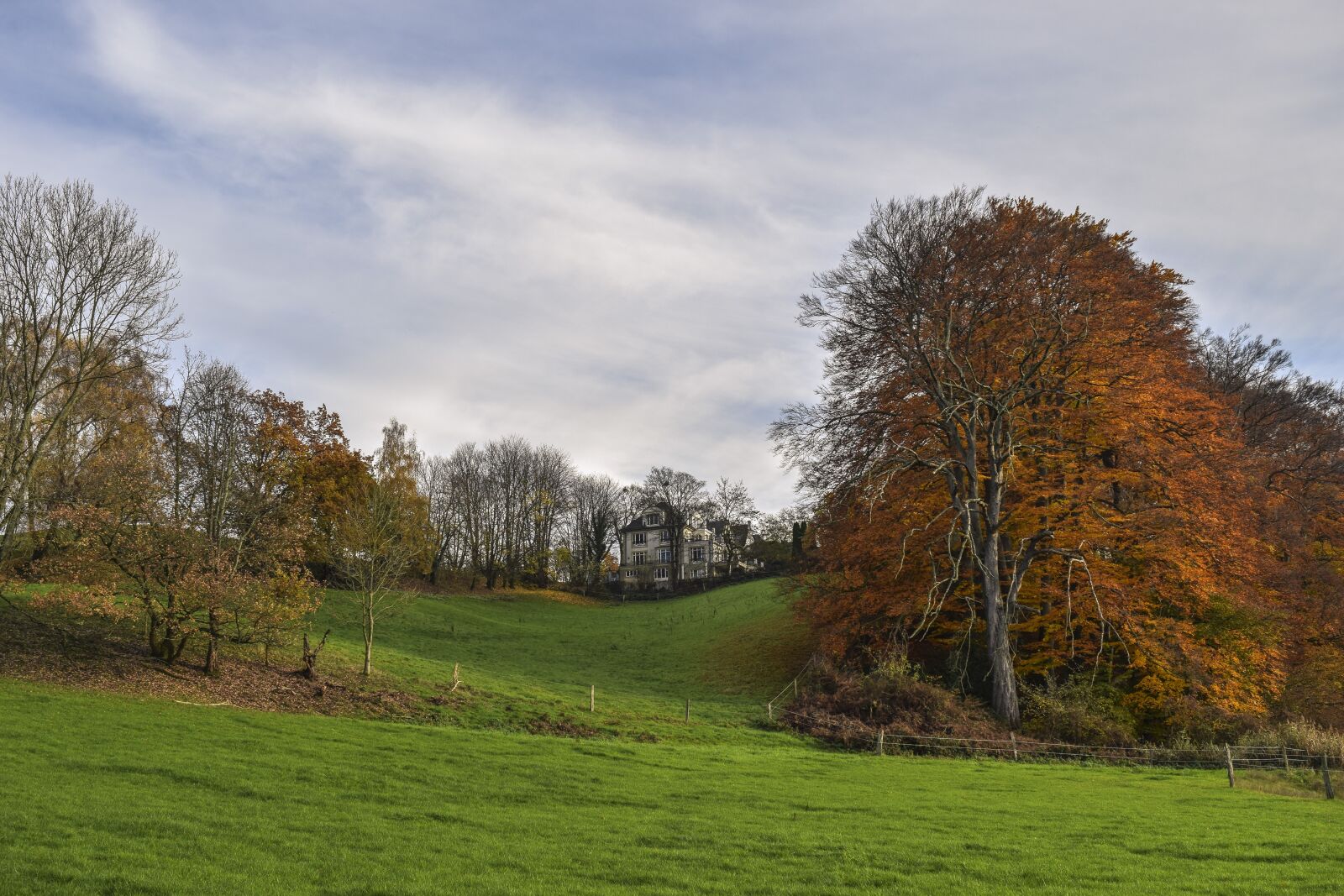 Nikon D3300 sample photo. Landscape, autumn, nature photography