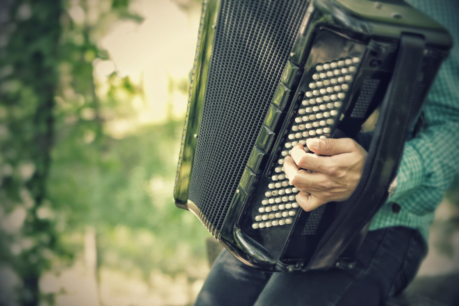 Canon EOS 7D + Canon EF 24-70mm F2.8L USM sample photo. Accordion, harmonica, music photography