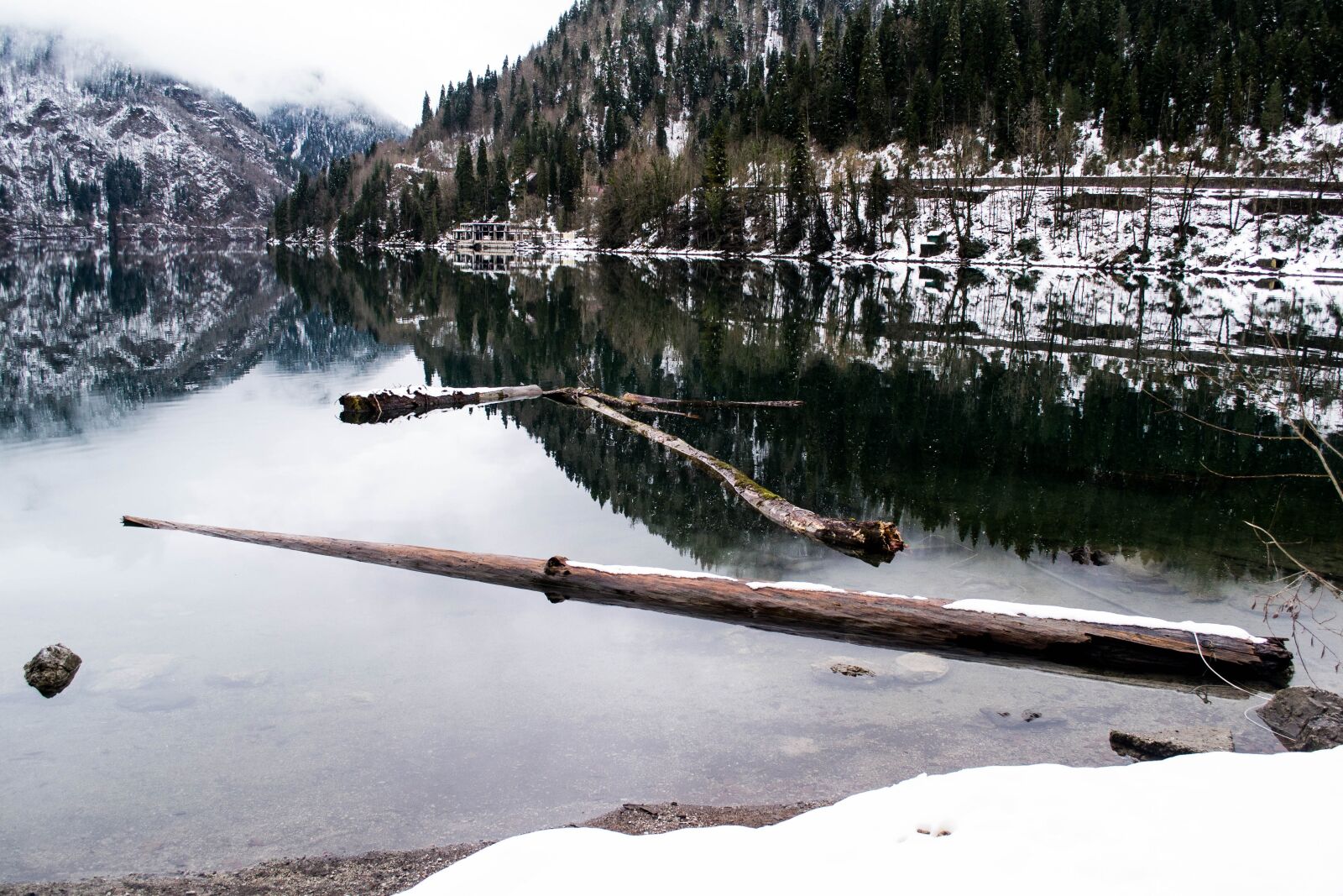 Nikon D3100 sample photo. Balance beam, tree, lake photography