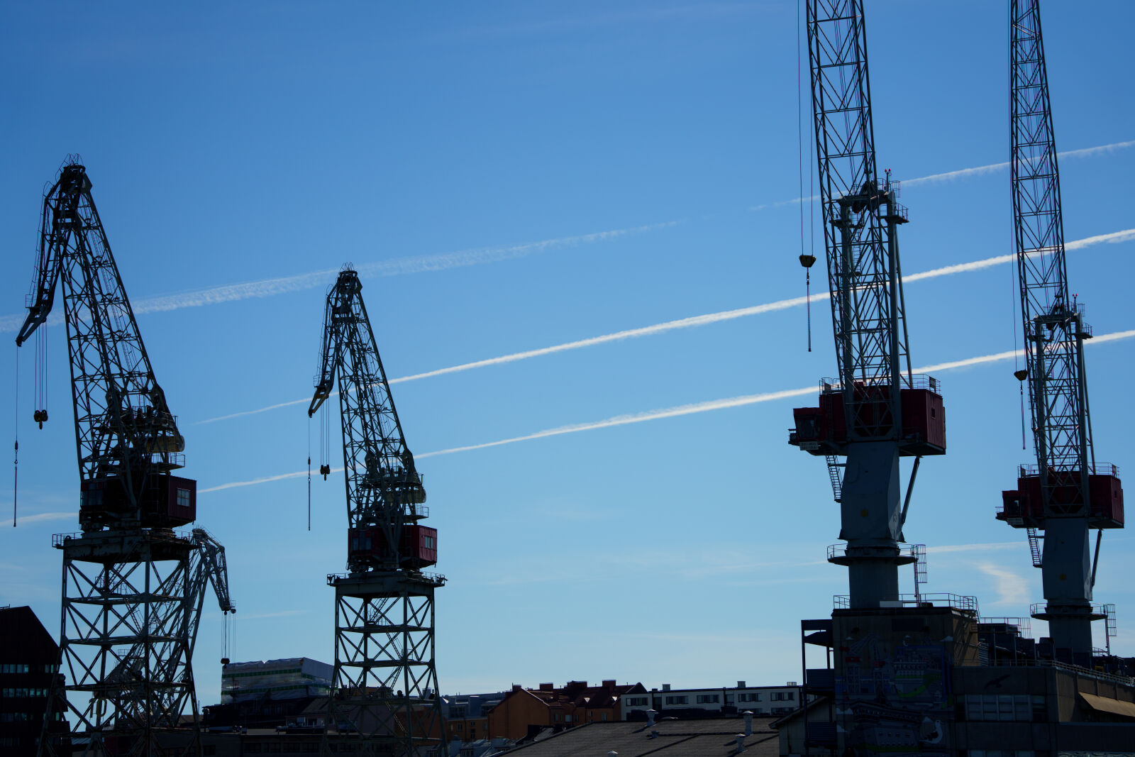 Tamron 50-400mm F4.5-6.3 Di III VC VXD sample photo. Cranes by the sky photography