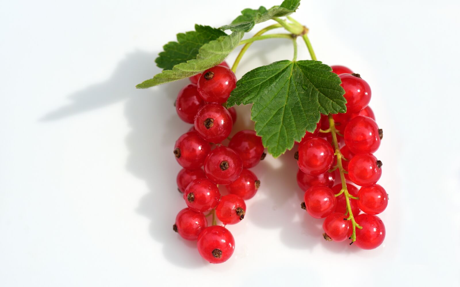 Nikon D750 sample photo. Currants, red, fruit photography