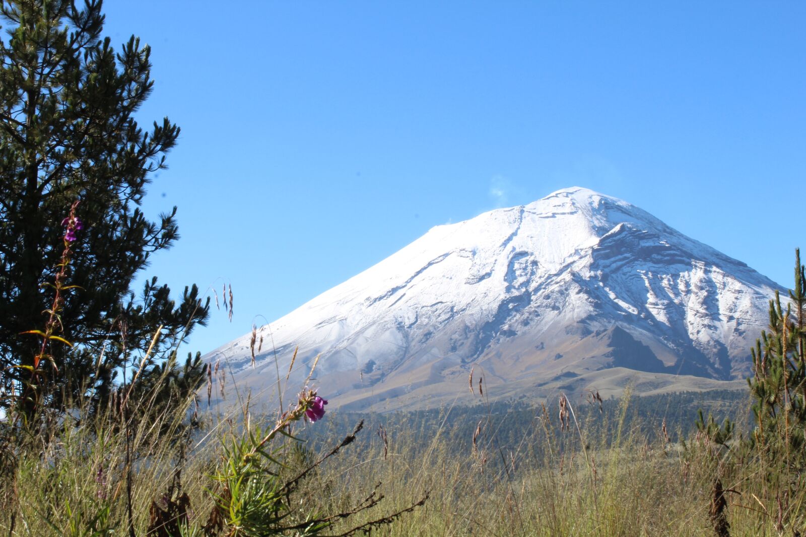 Canon EOS 1300D (EOS Rebel T6 / EOS Kiss X80) sample photo. Popocatepetl, volcano, mexico photography