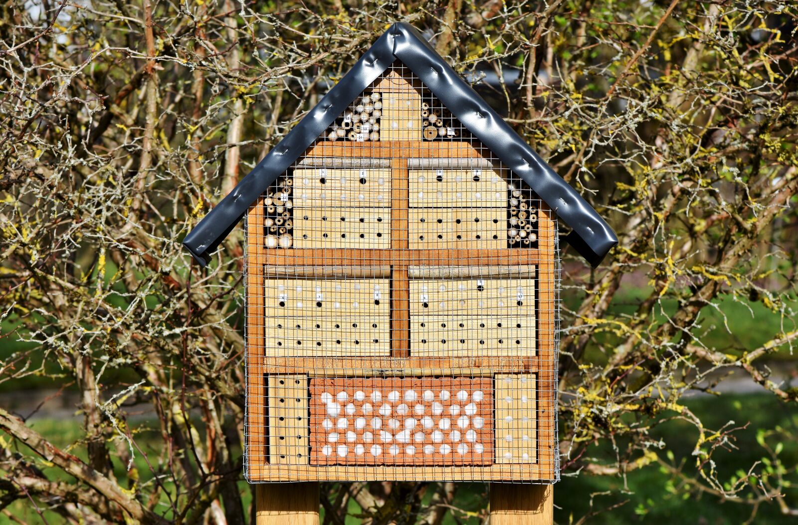 Nikon D7200 sample photo. Insect hotel, insect house photography