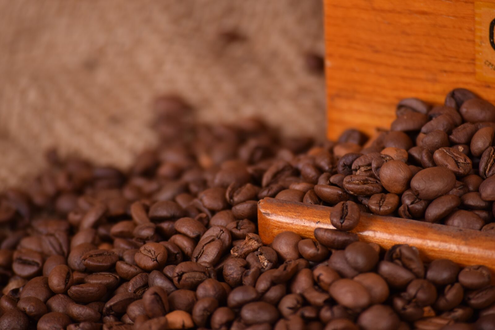 Nikon D3300 sample photo. Coffee, caffeine, seed photography