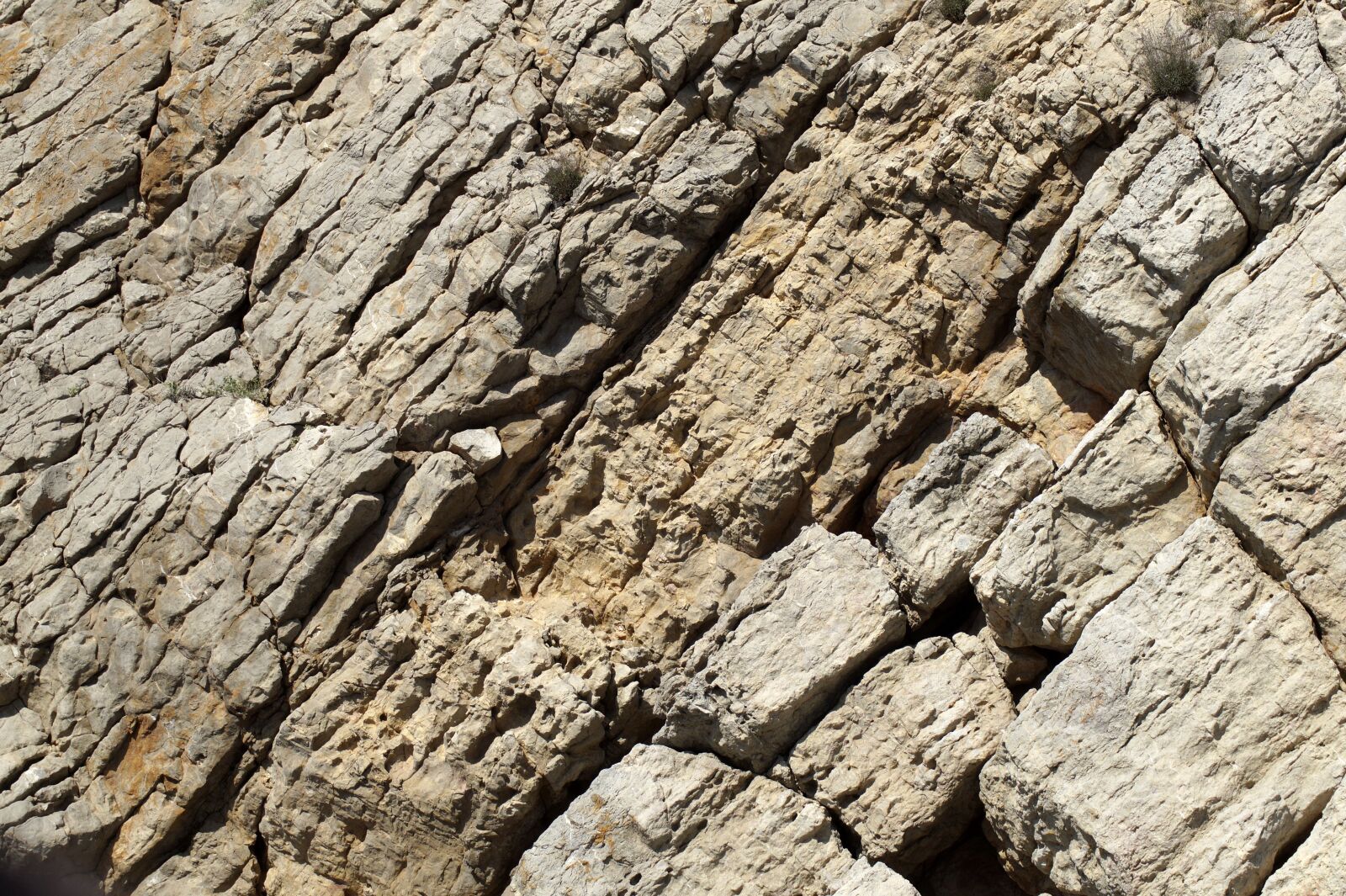 Sony SLT-A58 sample photo. Background, rau, texture photography