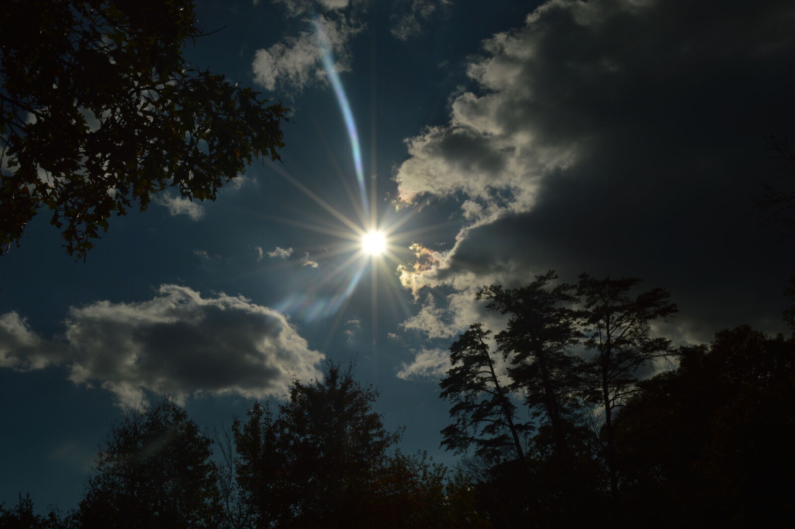 Nikon D3200 sample photo