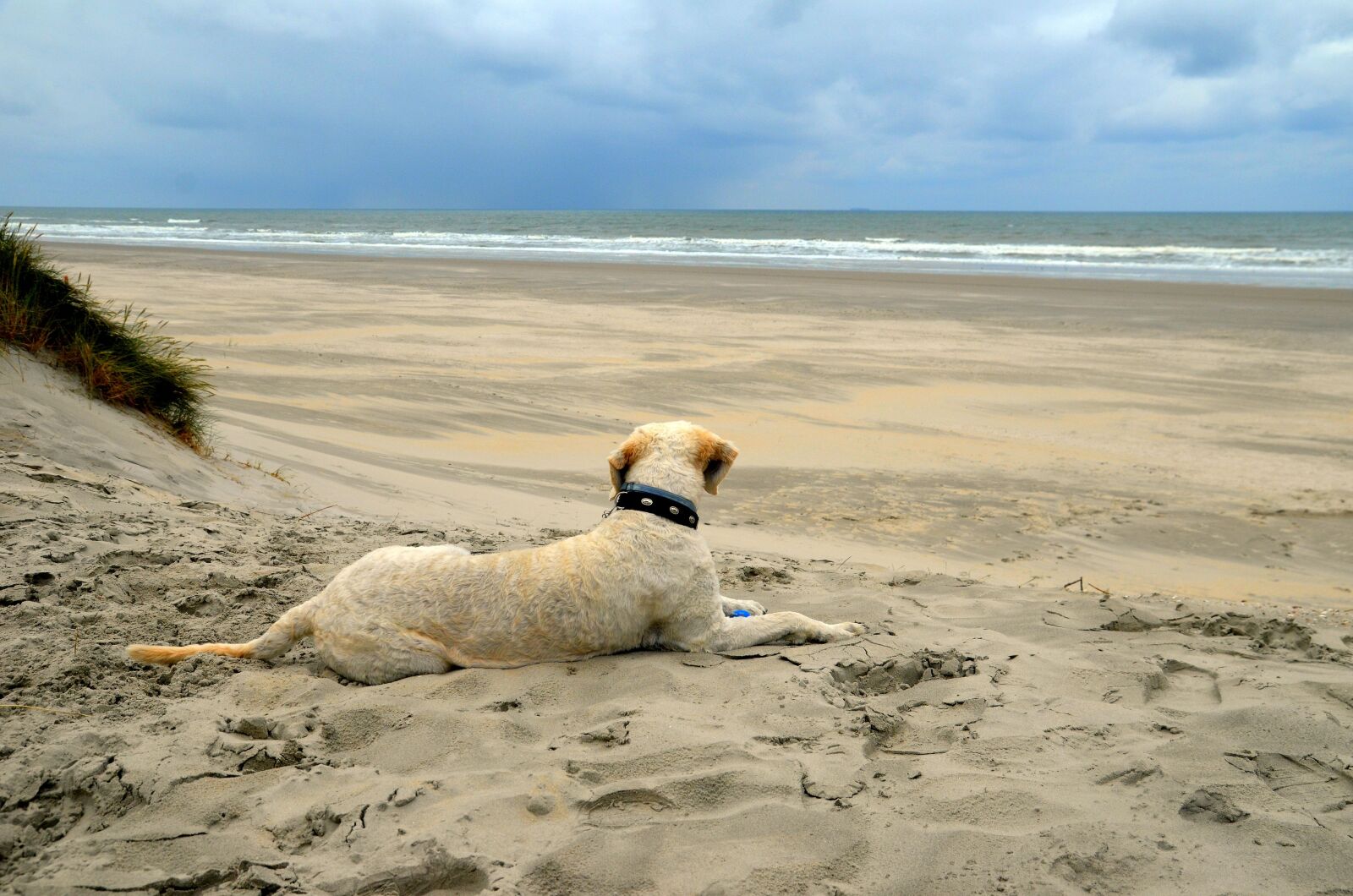 Nikon D5100 sample photo. Sea, beach, sand photography