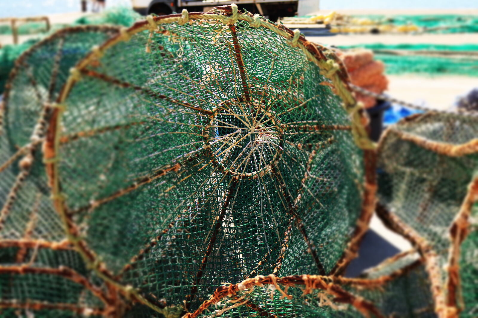 Canon EOS 750D (EOS Rebel T6i / EOS Kiss X8i) sample photo. Fisher, fishing, net, lobster photography
