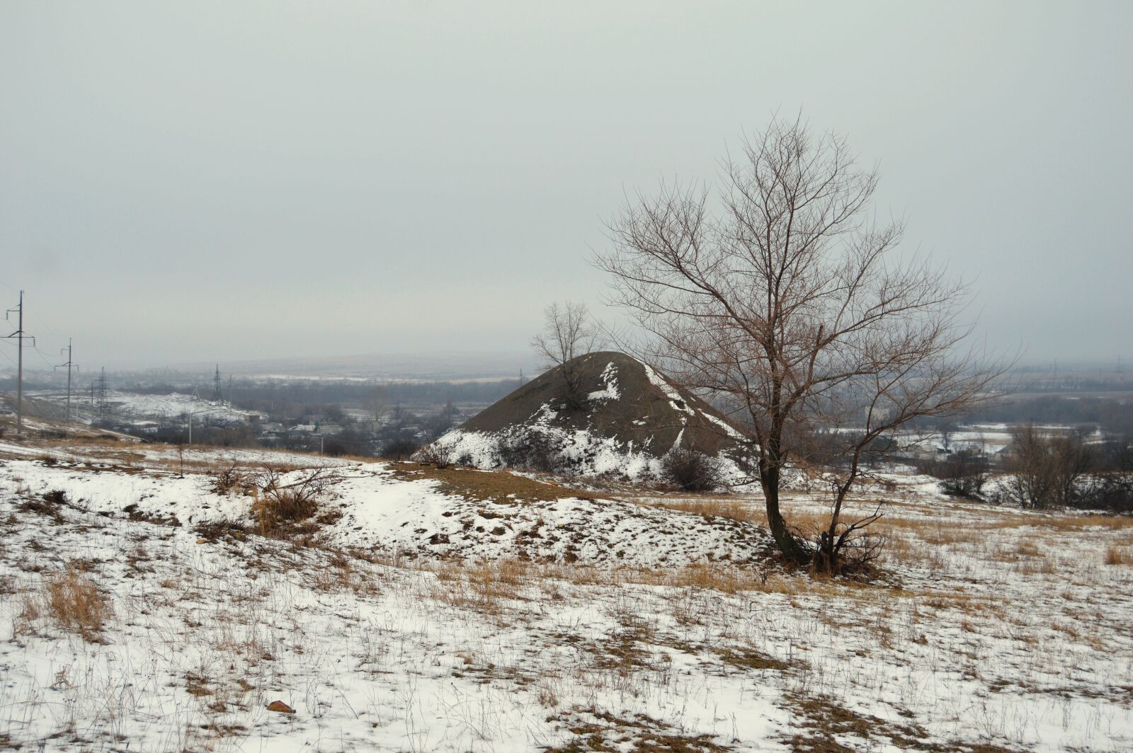 Nikon D3200 sample photo. Tree, field, grass photography