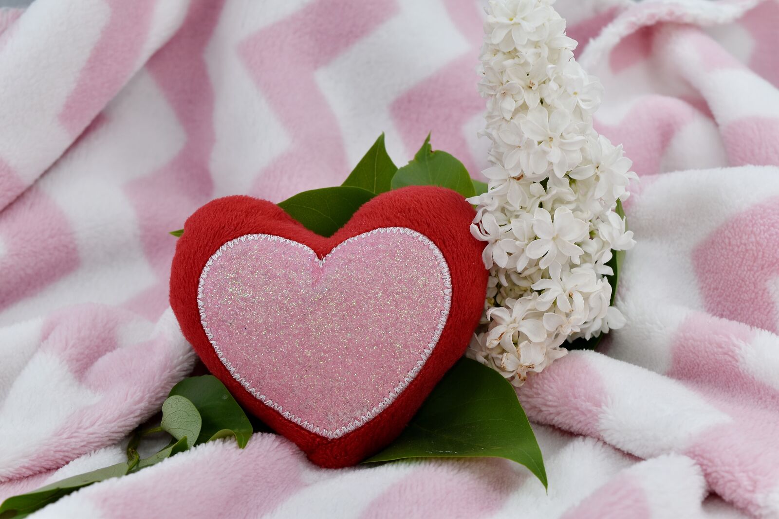 Nikon D5500 sample photo. Affection, blanket, decoration, heart photography