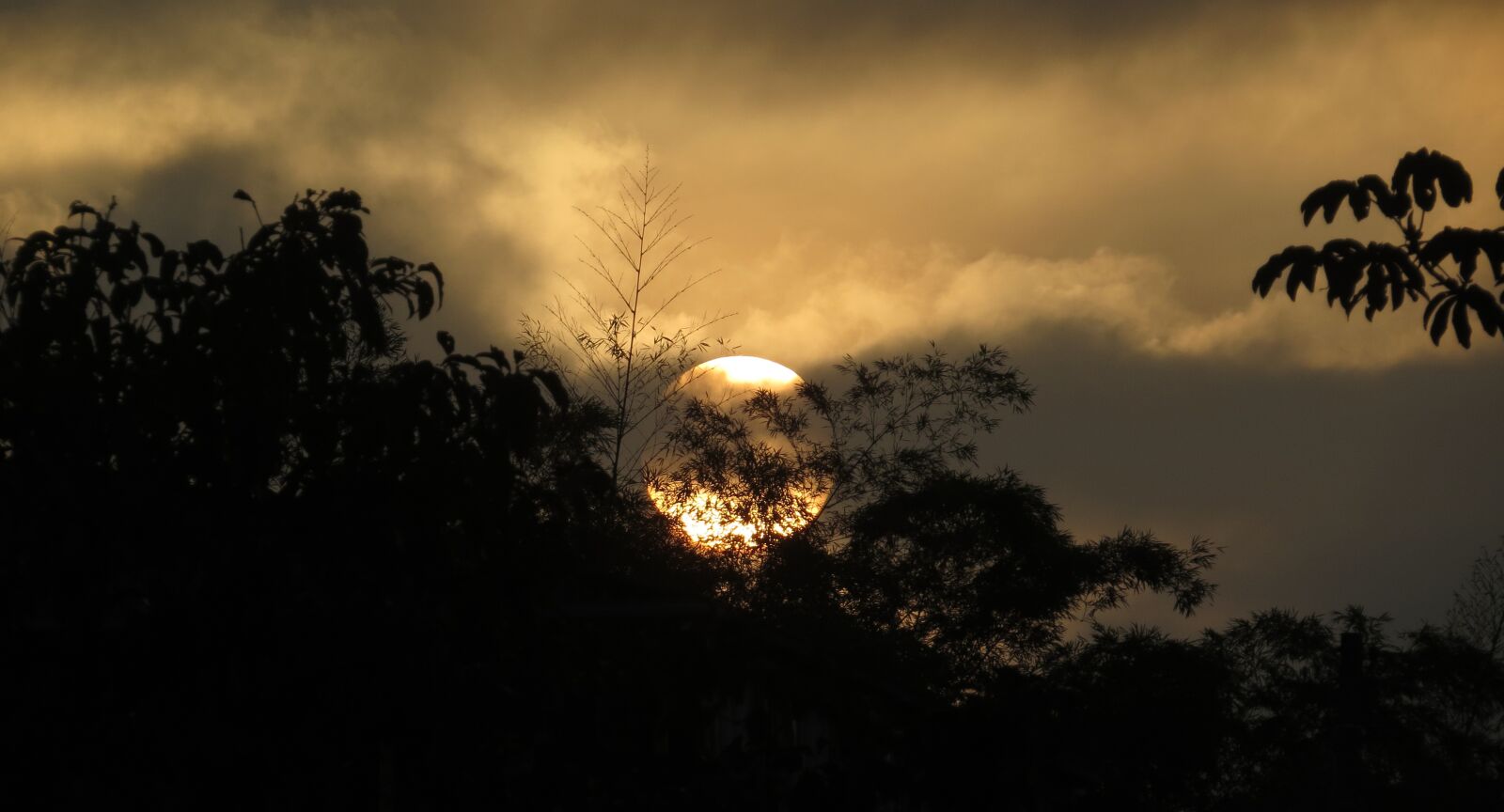 Canon PowerShot SX50 HS sample photo. Sunset, dawn, sun photography