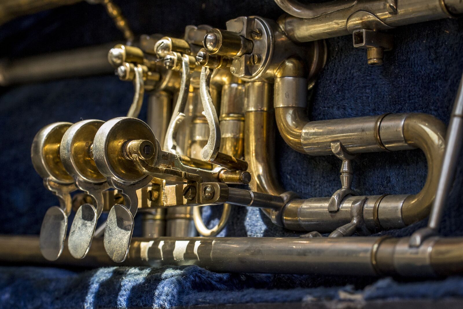 Nikon D3100 sample photo. Musical instrument, yellow, lights photography