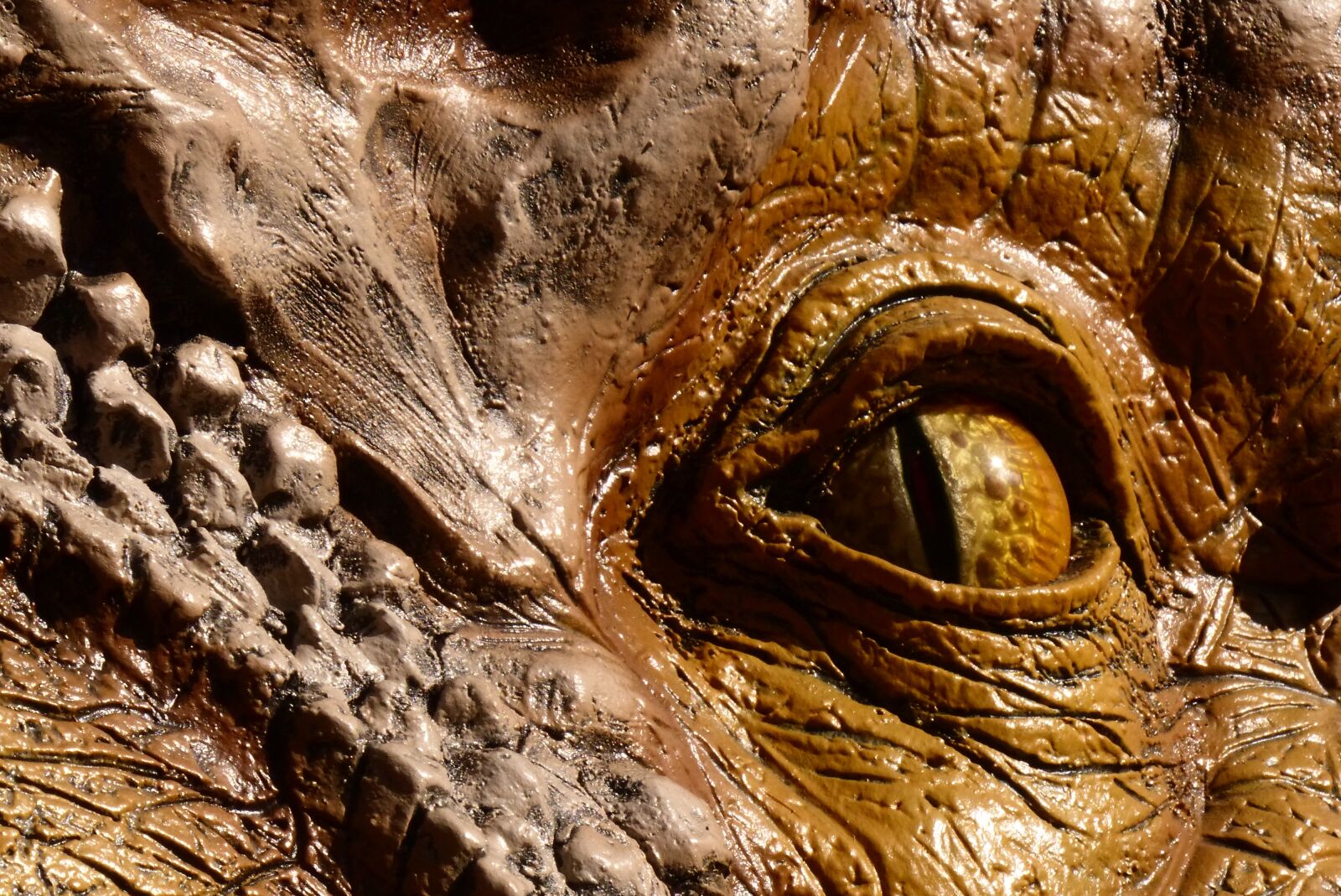 Panasonic Lumix DMC-FZ200 sample photo. Dinosaur eye, eyeball, reptile photography