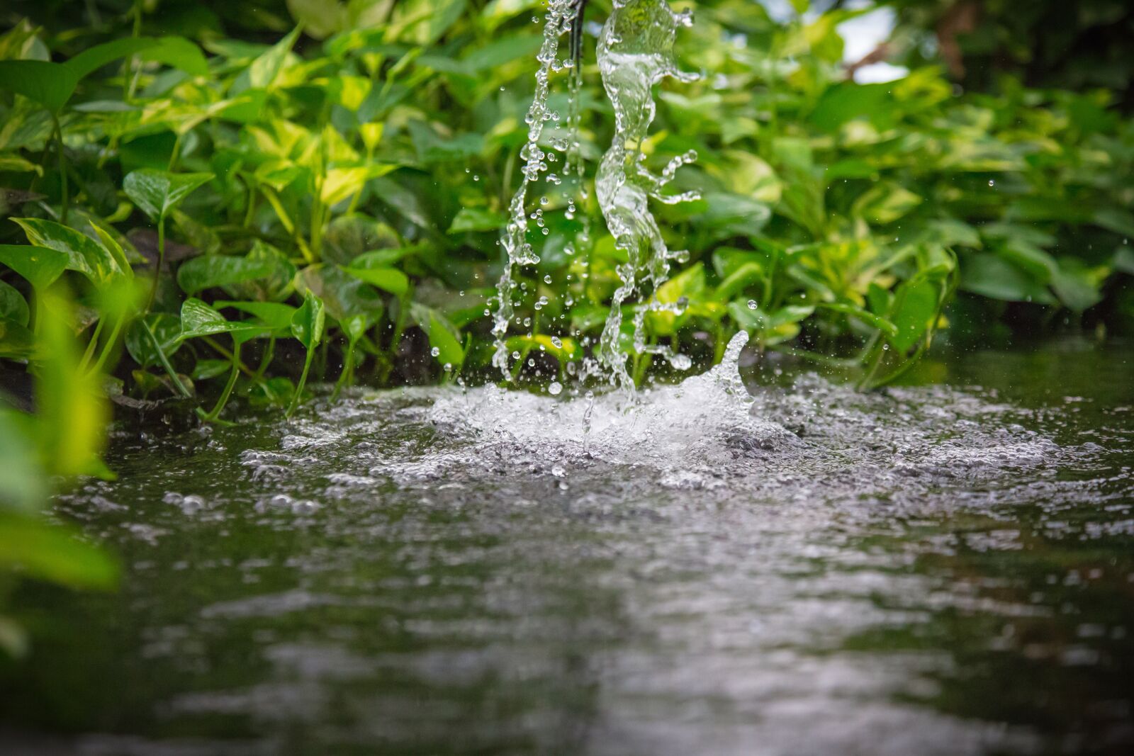 Canon EF 24-105mm F4L IS USM sample photo. Waters, nature, wet photography