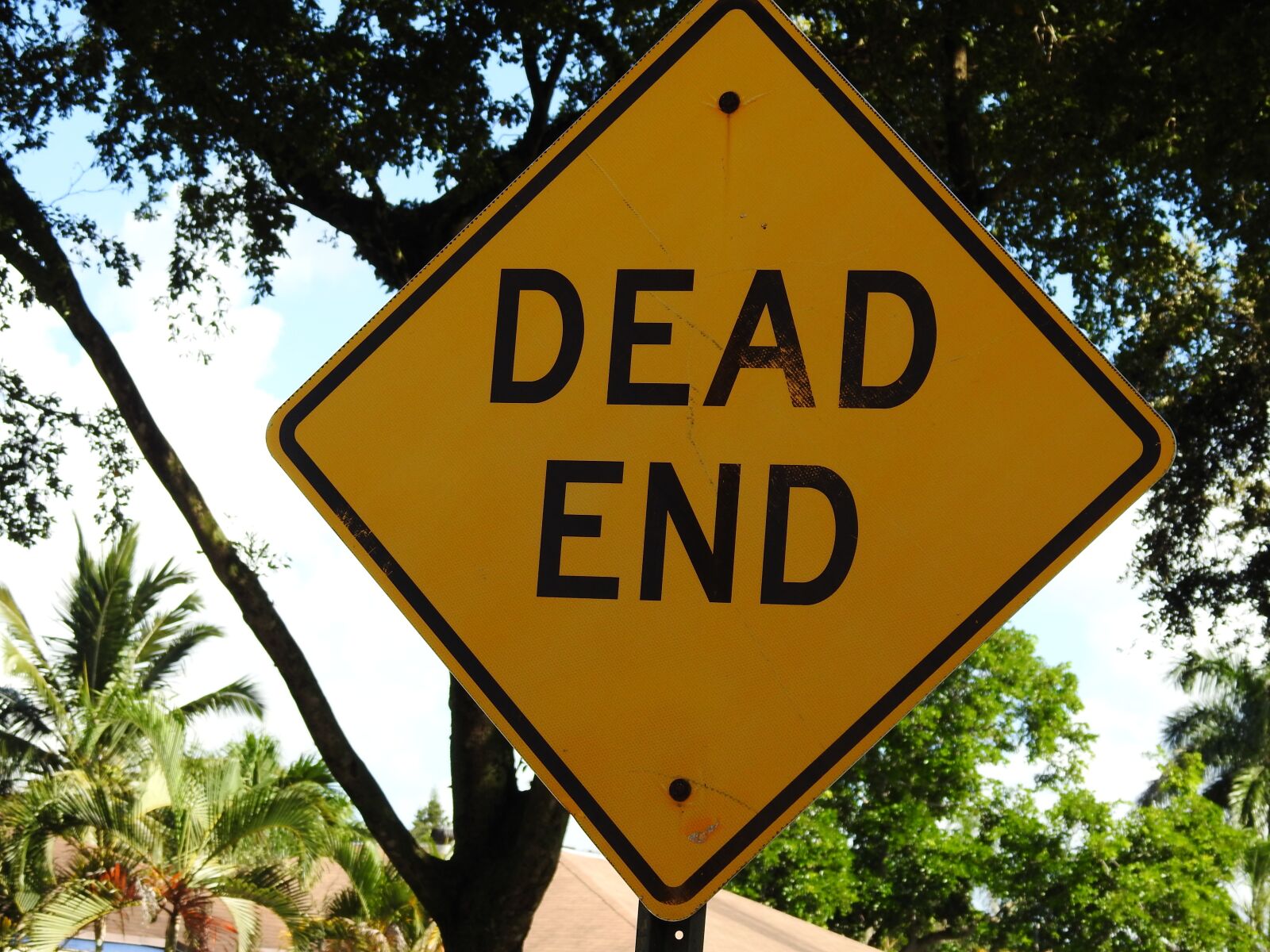 Nikon Coolpix P900 sample photo. Dead end, sign, yellow photography