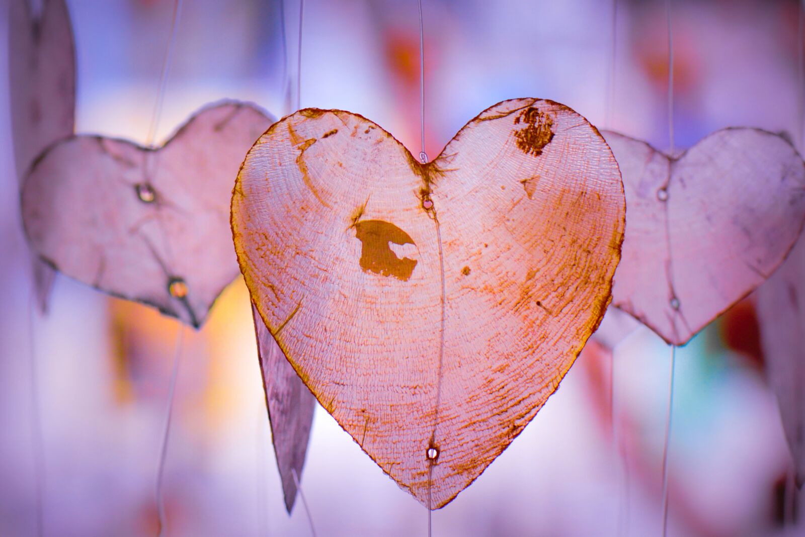 Nikon D5200 sample photo. Heart, love, romantic photography