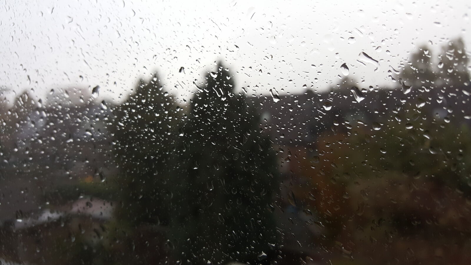 Samsung GALAXY S6 edge sample photo. Autumn, drops, of, water photography