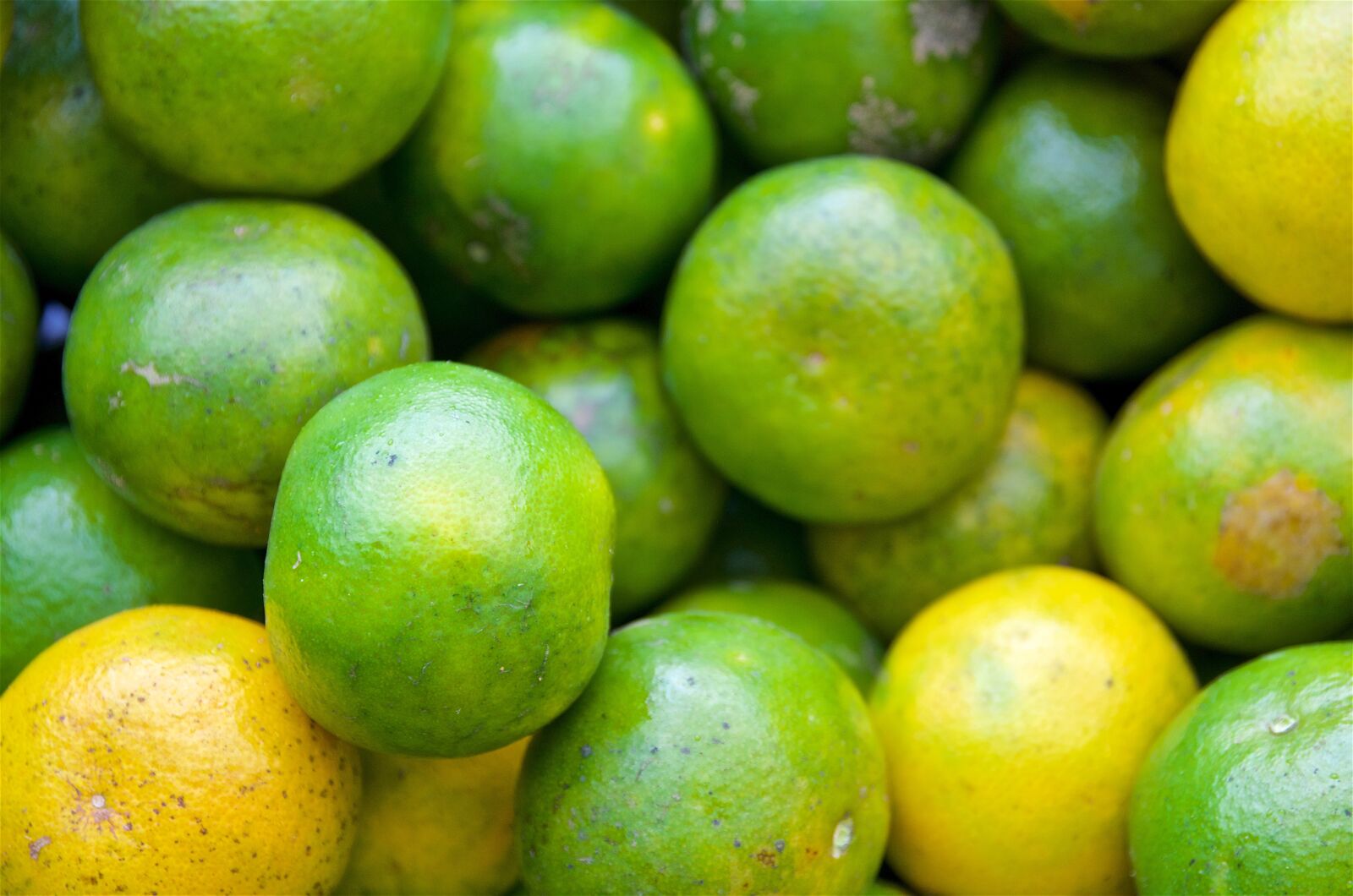Pentax K-5 sample photo. Mandarin fruit, market, tangerine photography