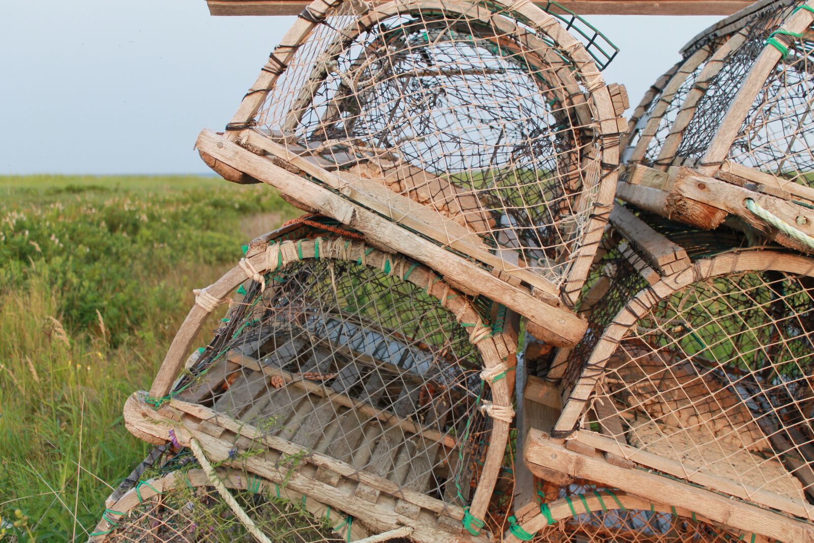 Canon EOS 1100D (EOS Rebel T3 / EOS Kiss X50) sample photo. Cage, lobster, sea photography