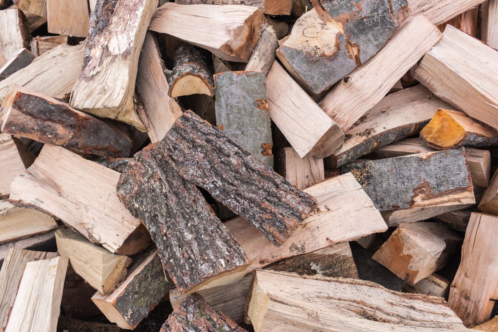 Canon EOS 100D (EOS Rebel SL1 / EOS Kiss X7) sample photo. Wood, fuel, firewood photography