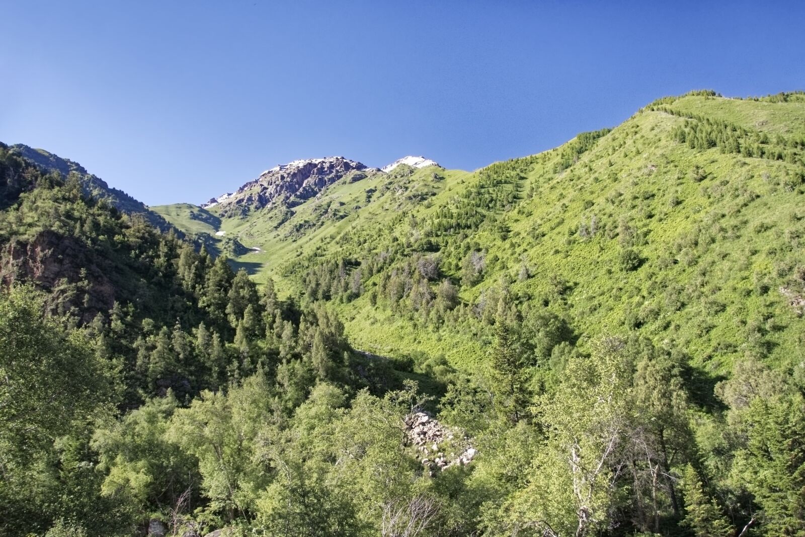 Nikon D500 sample photo. Kyrgyzstan, chychkan valley, tschytschkan photography