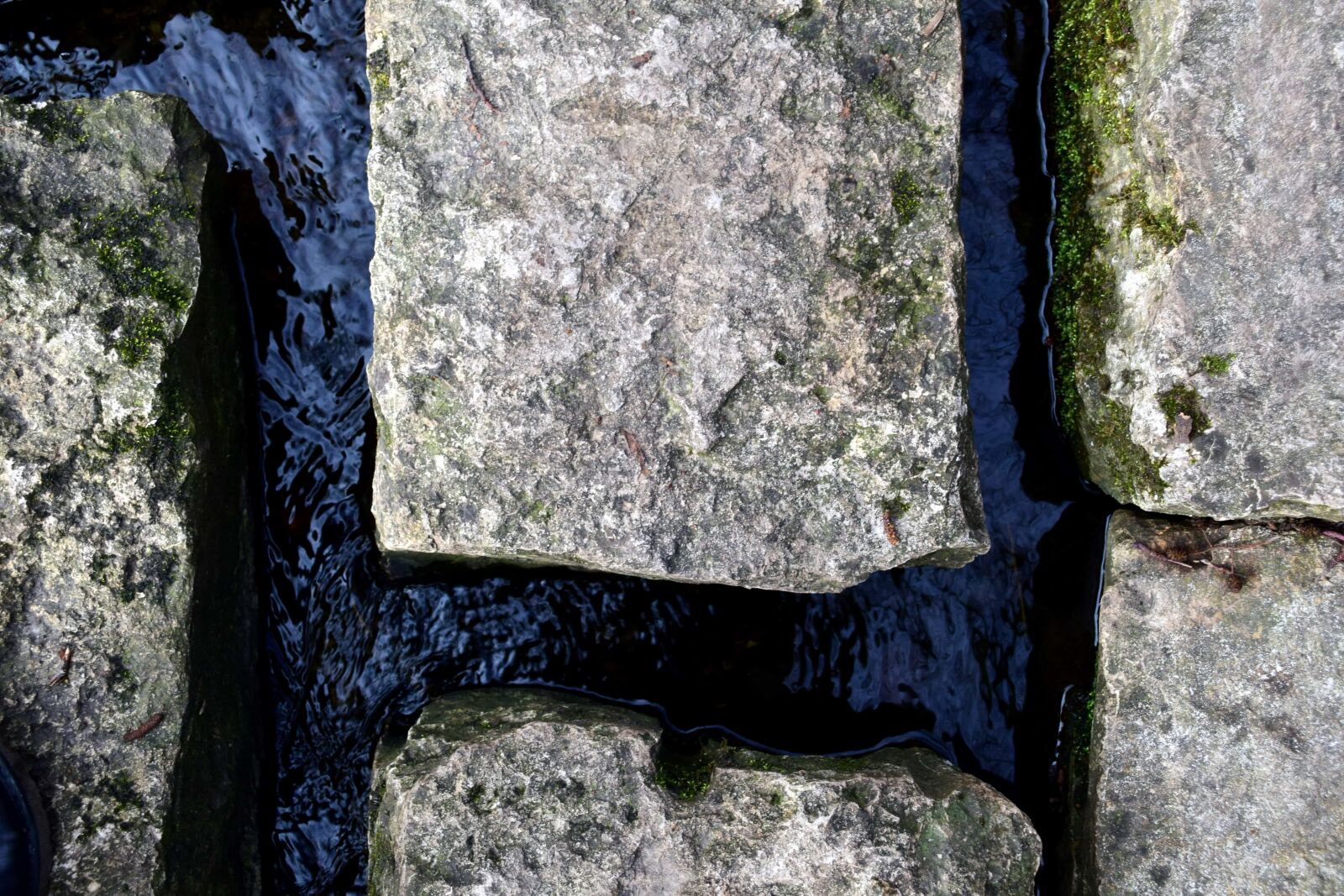 Nikon D3300 sample photo. Stone, nature, tree, structure photography