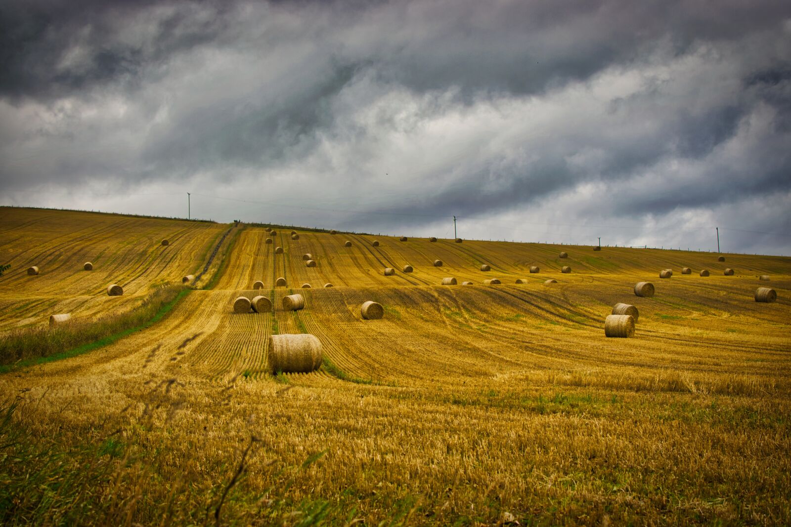 Nikon D5300 sample photo. Field, harvested, straw photography