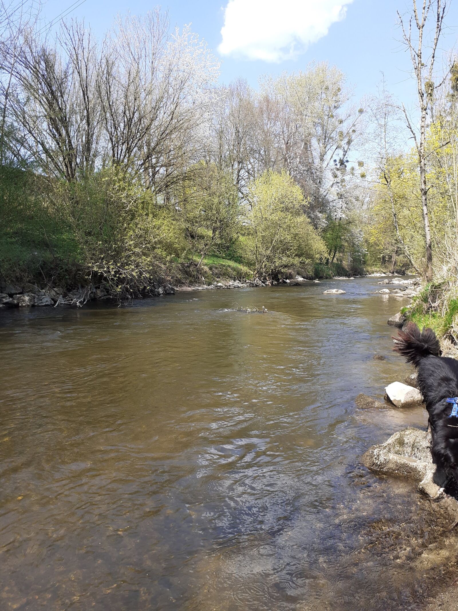 Samsung SM-A202F sample photo. Ravensburg, water, river photography