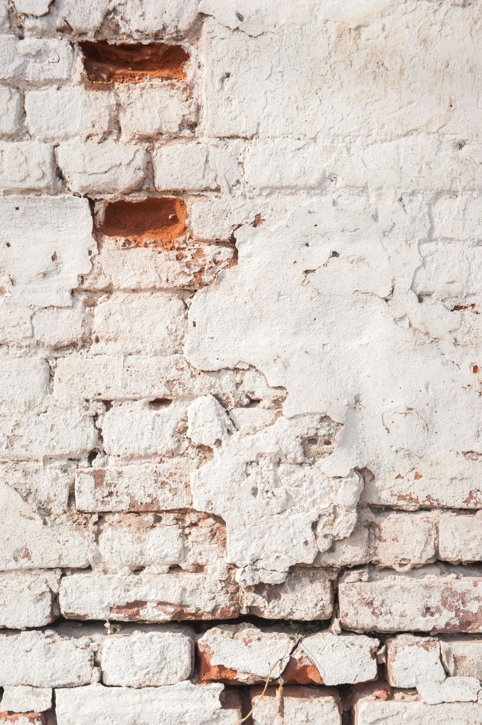 Nikon D700 sample photo. White wall, red brick photography