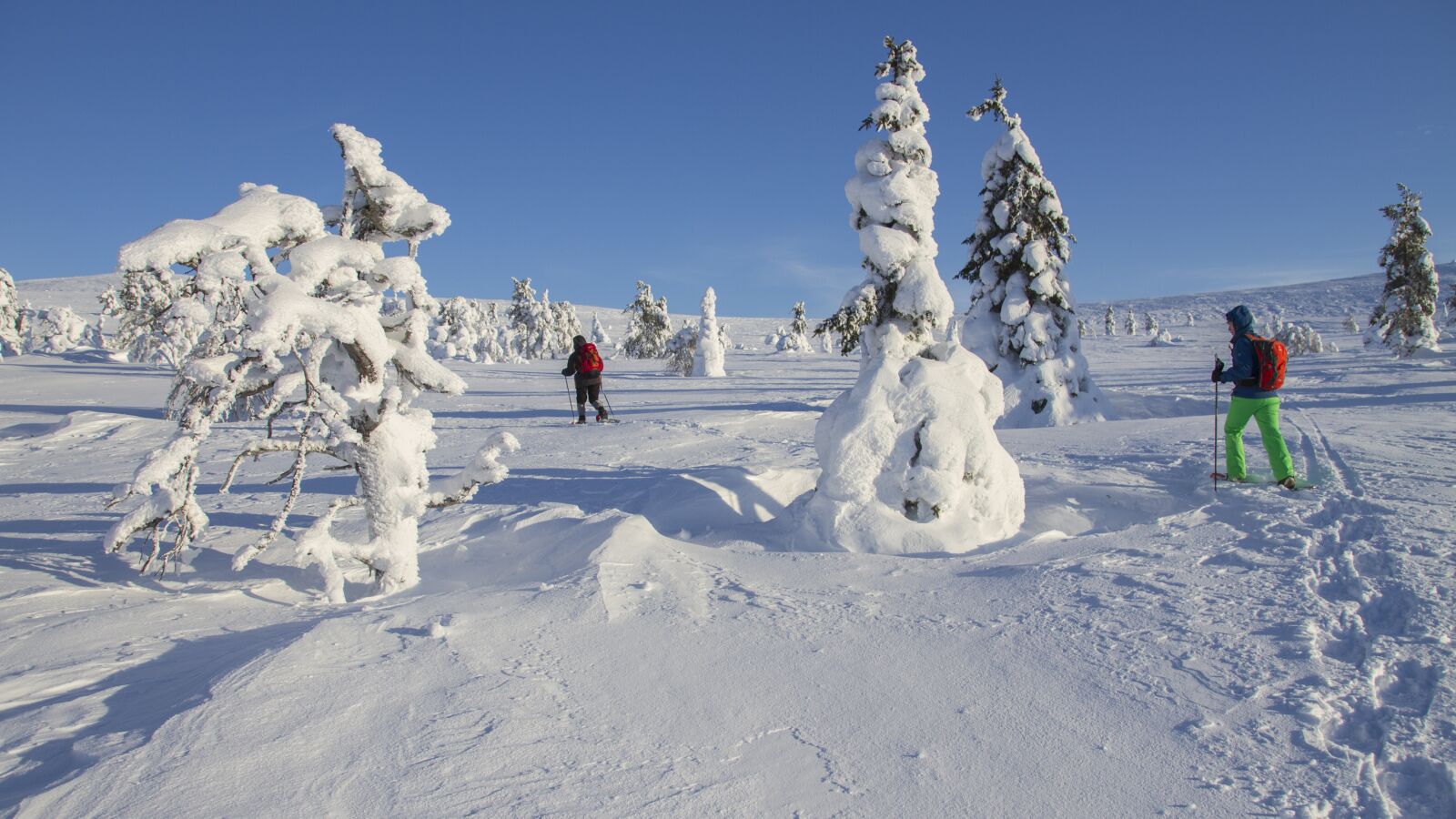 Canon EOS 7D sample photo. Snow shoe snow shoe photography
