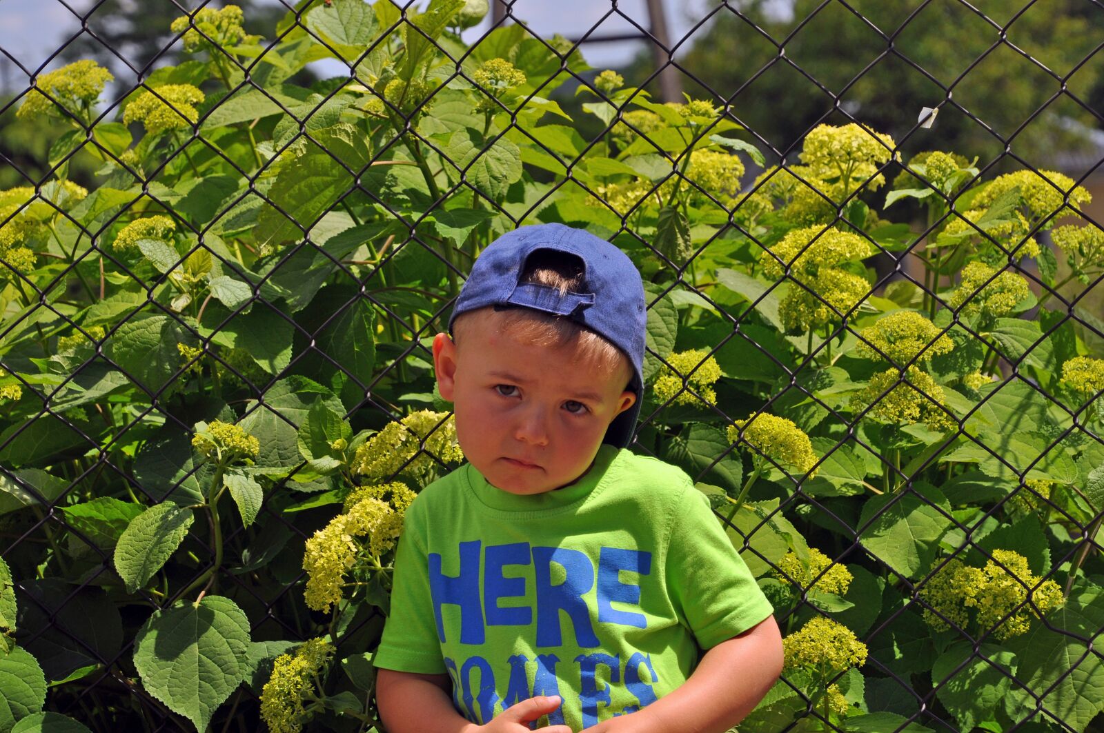 Nikon D5000 sample photo. Child, summer, unconcern photography