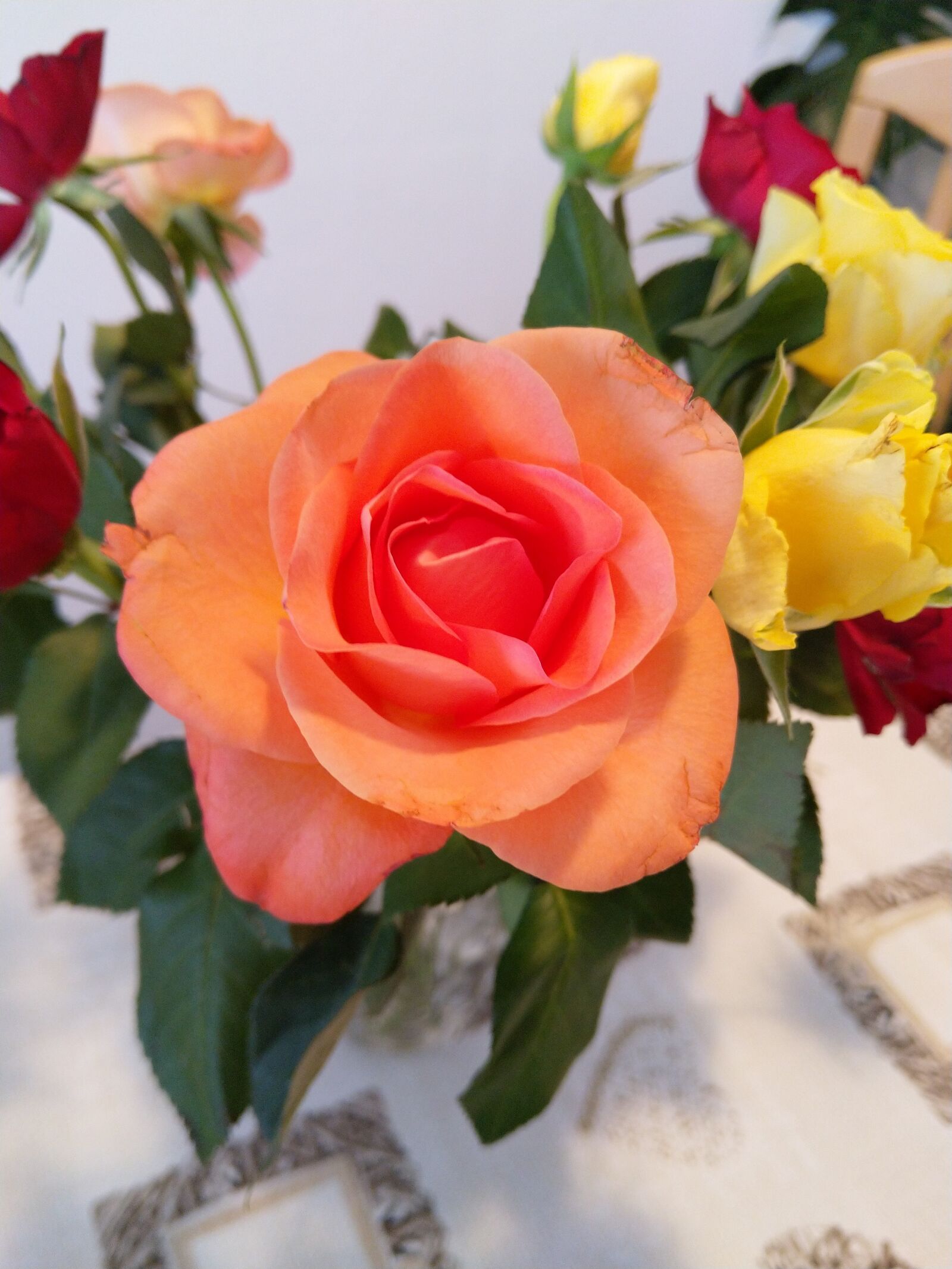 HMD Global Nokia 7 plus sample photo. Roses, yellow, red photography