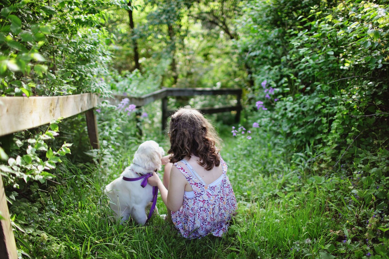 Canon EOS 5D Mark II sample photo. Child, dog, pet photography
