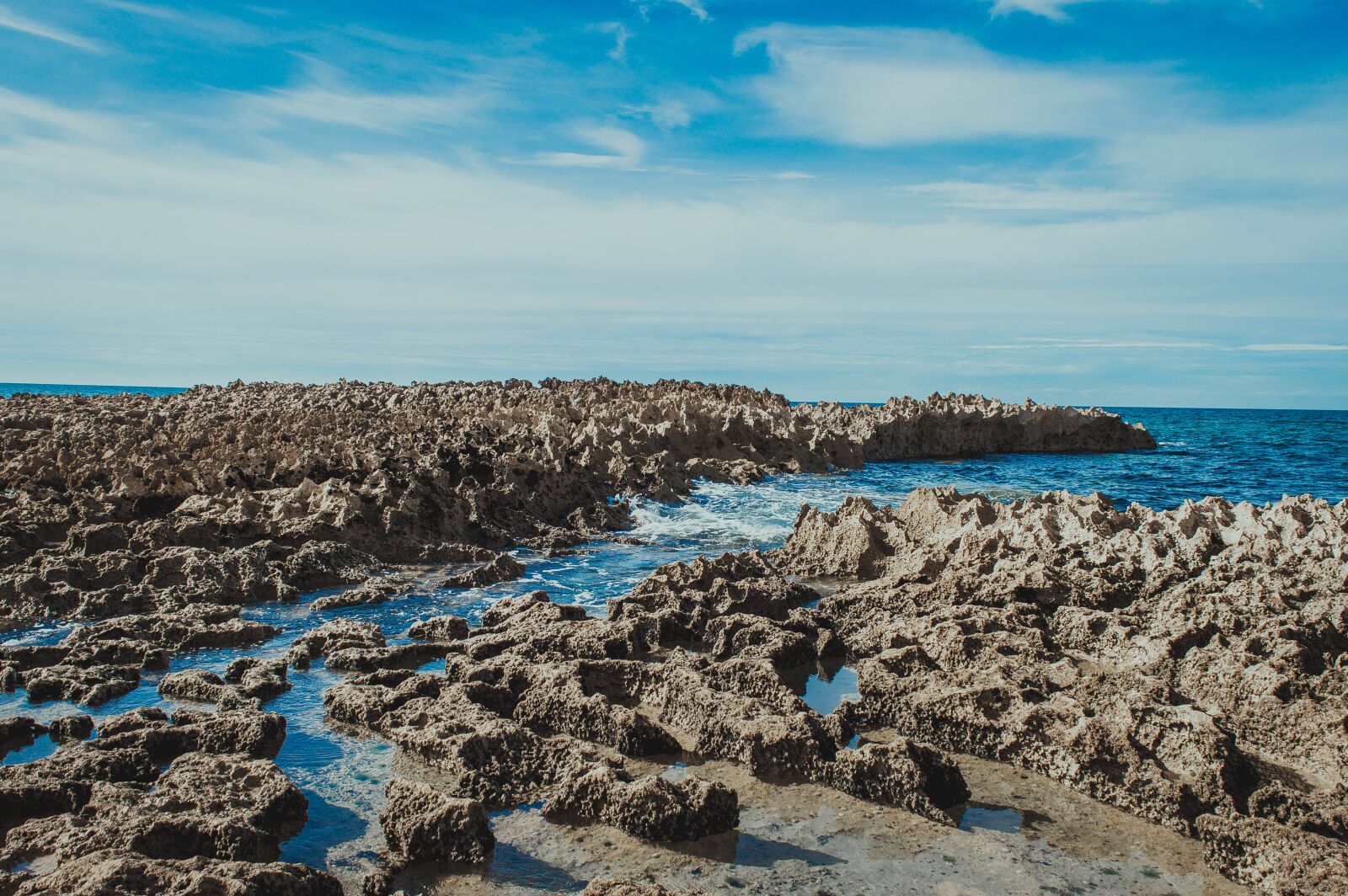 Nikon D3200 sample photo. Sea, life, ocean photography