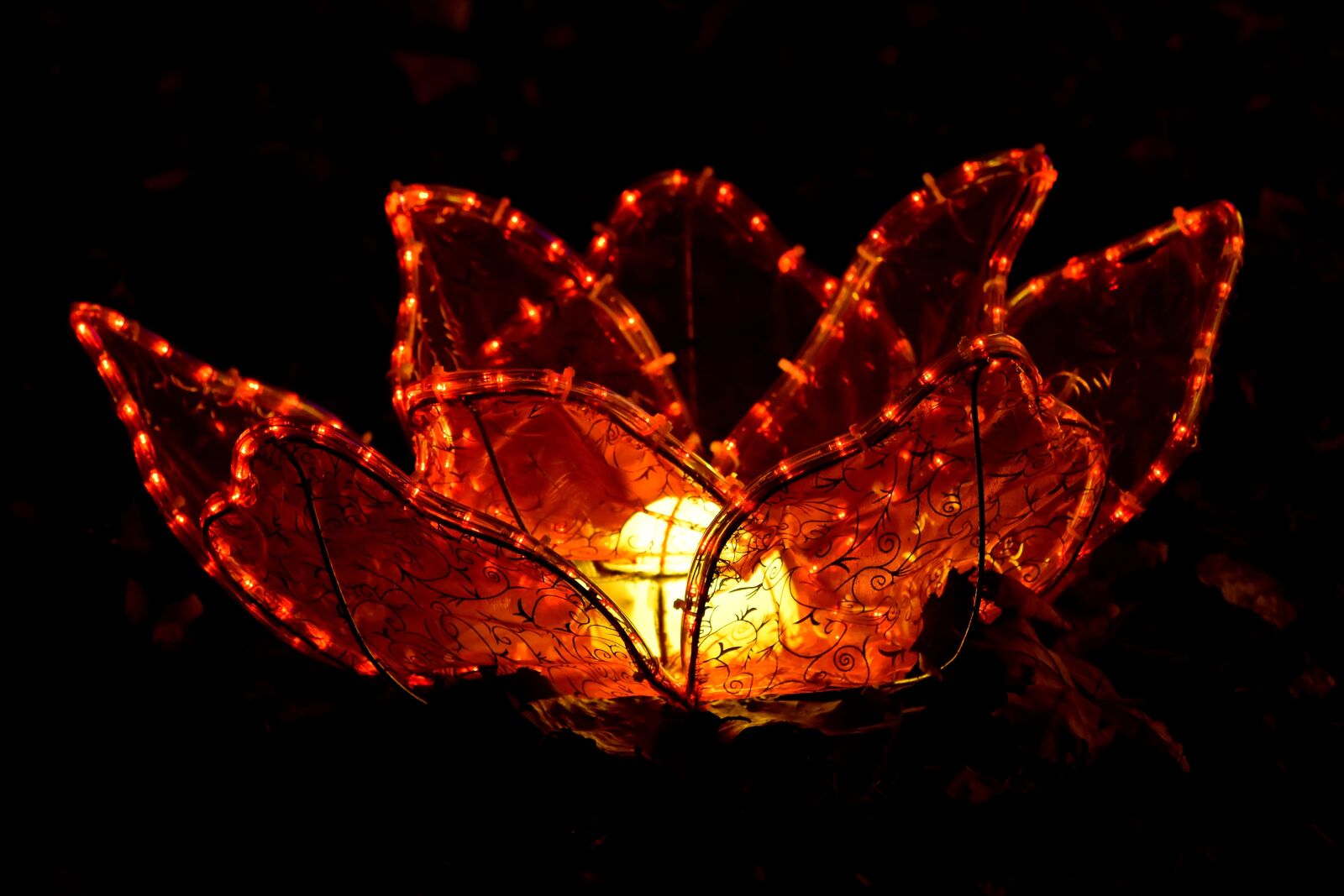 Nikon D5500 sample photo. Artwork, lamp, light, lily photography